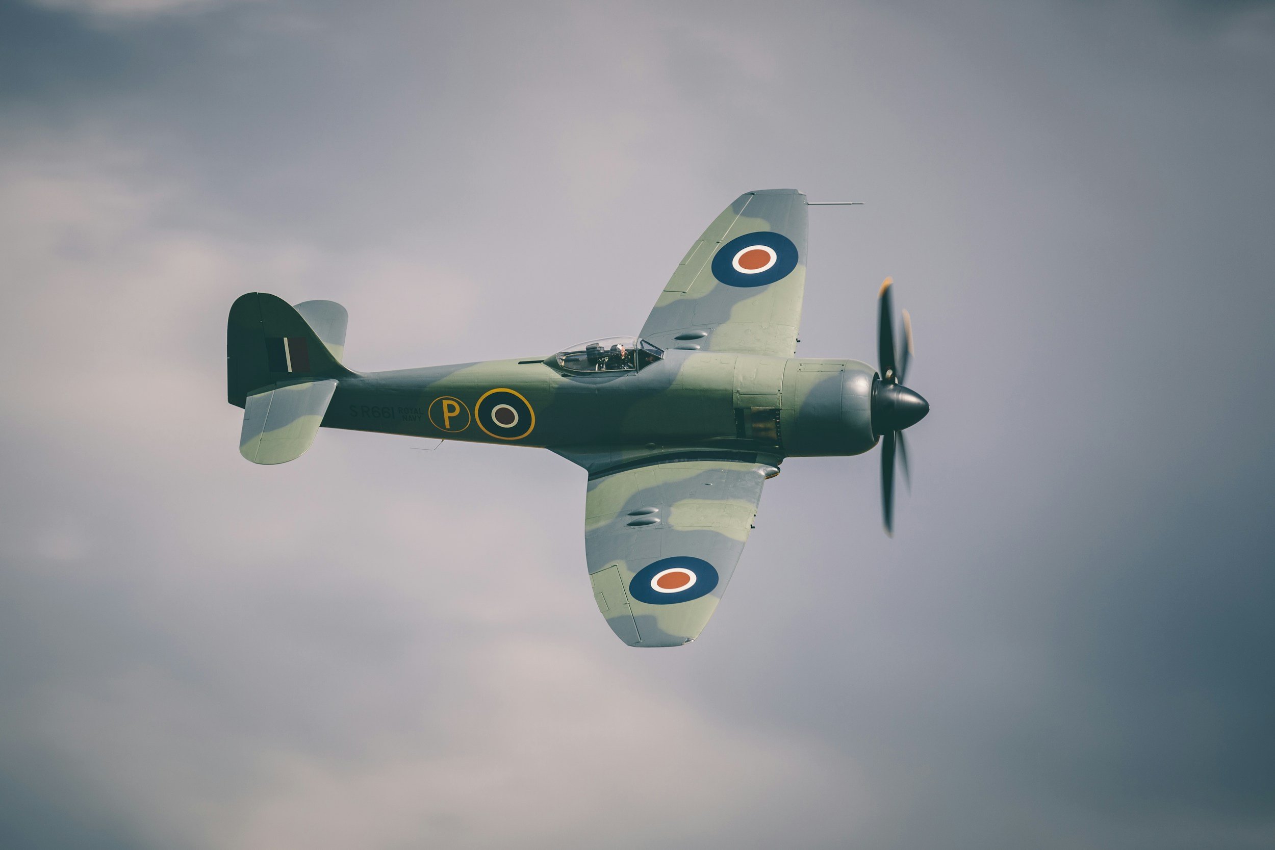 Warbird Roundup 2026
