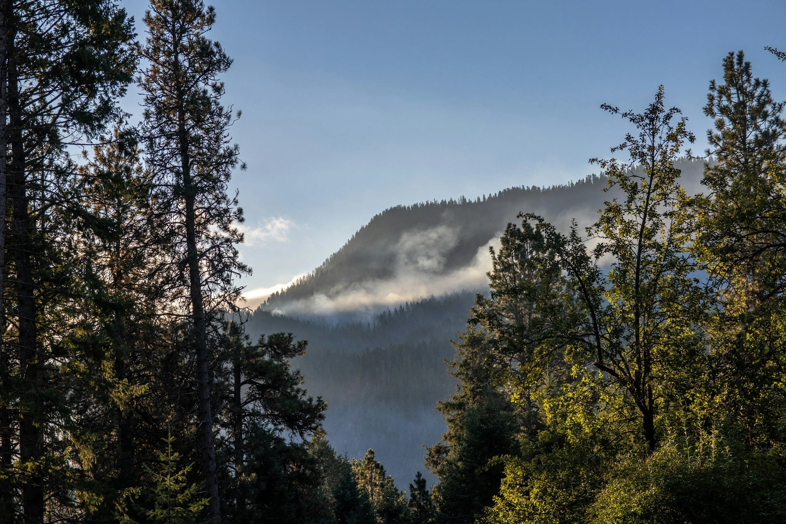 Idaho City Days