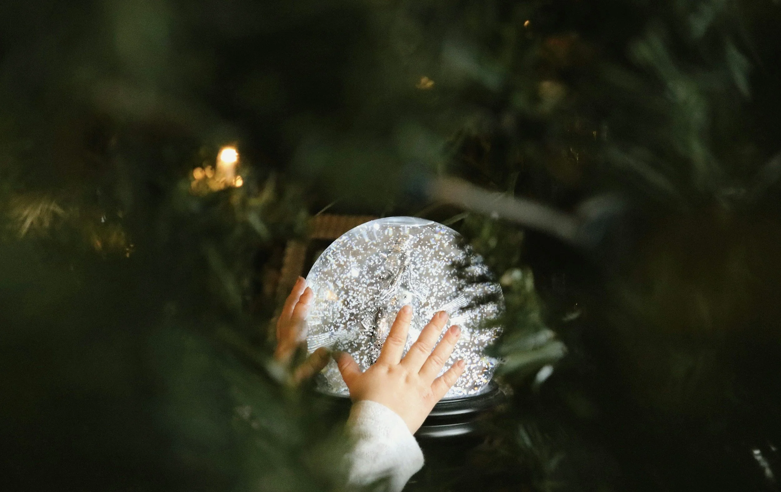 TRICA's Snow Globe