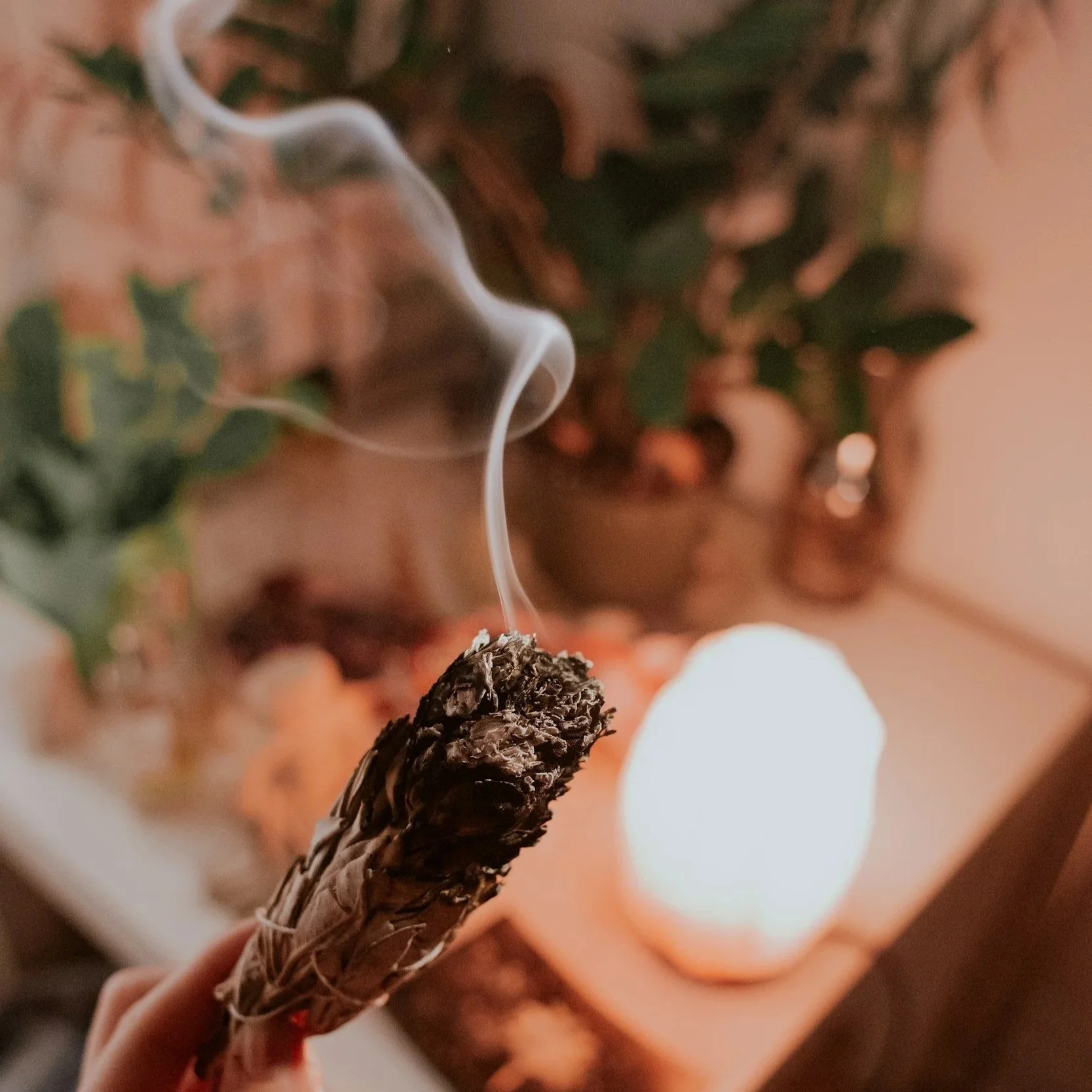 Six Months of Slowing Down