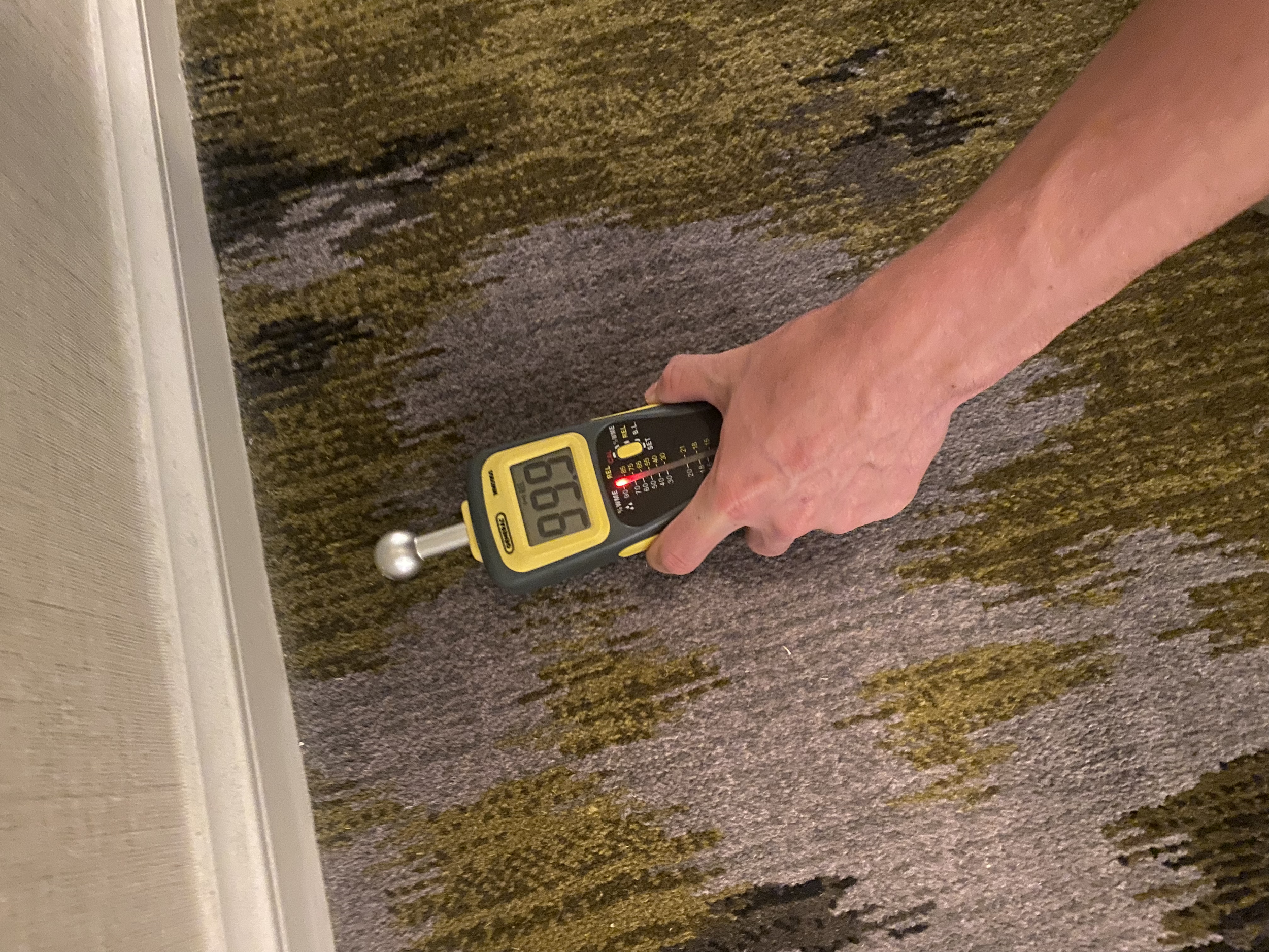 A person gathering moisture readings after a water loss in Texas 