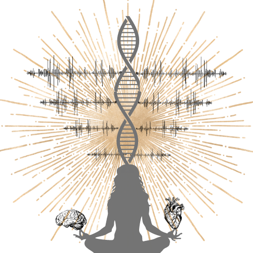 I See Me Kinesiology 