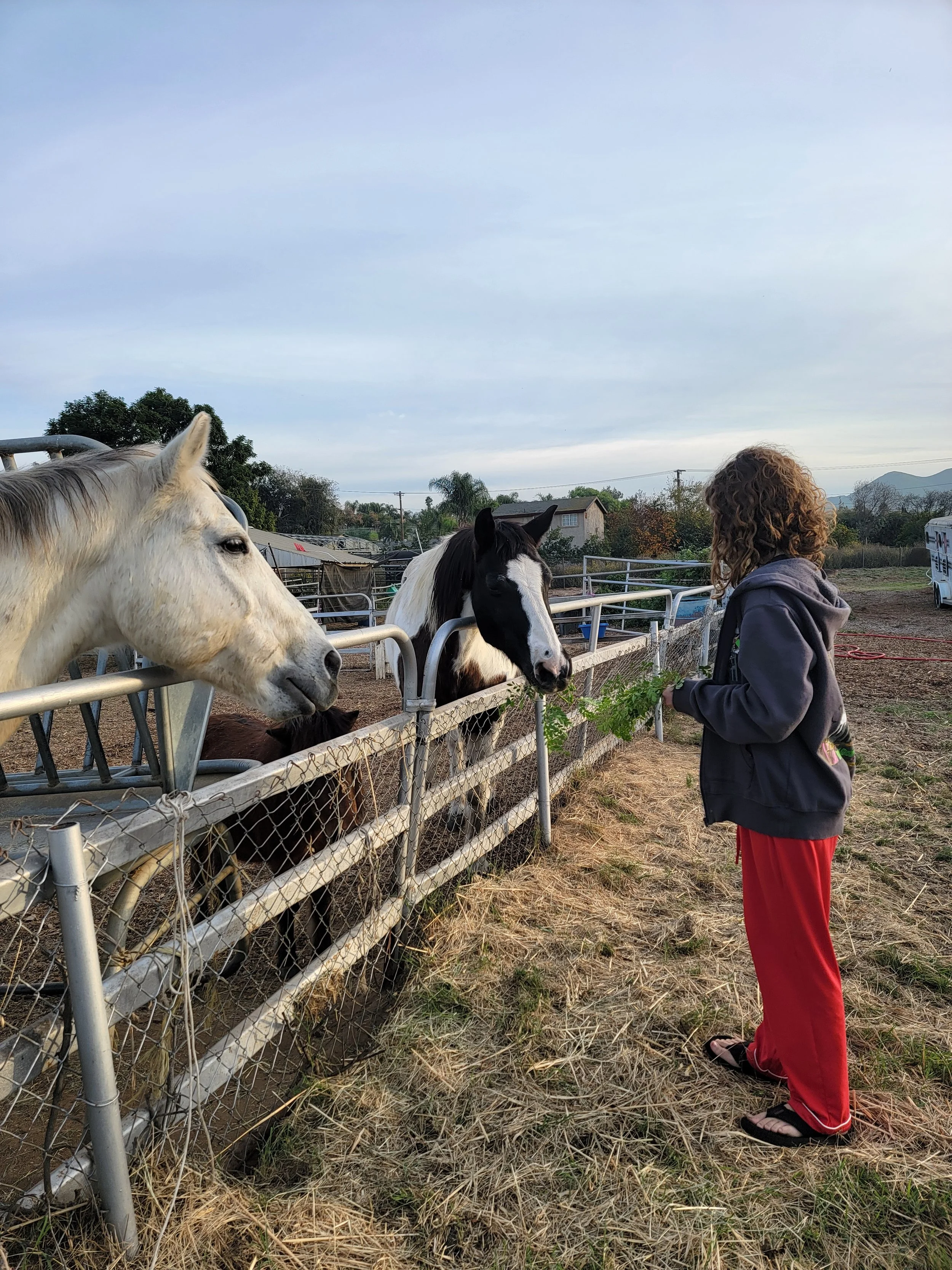 Farm tour (includes u-pick flower arrangement)