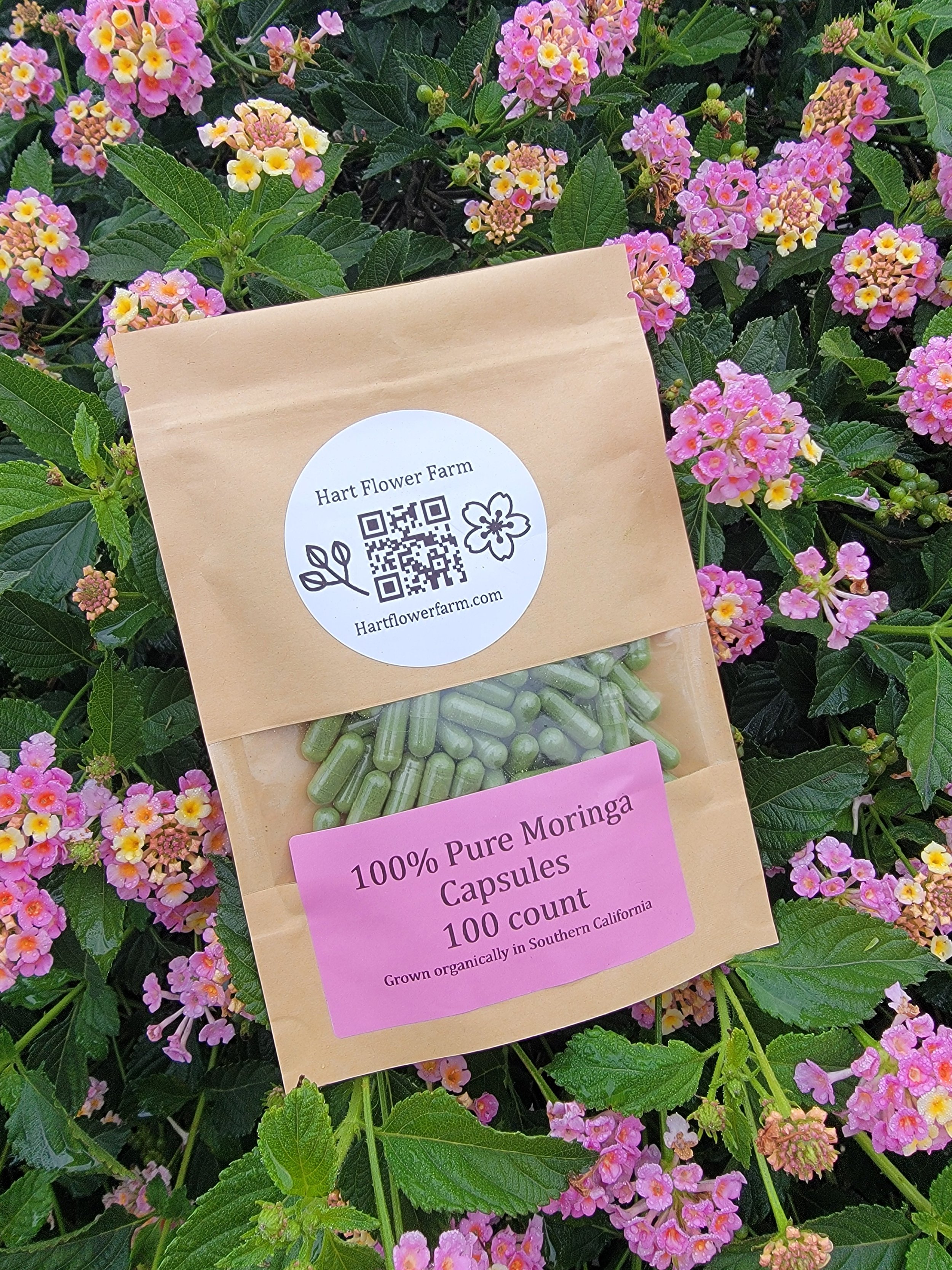 Organic Moringa Capsules 100 count