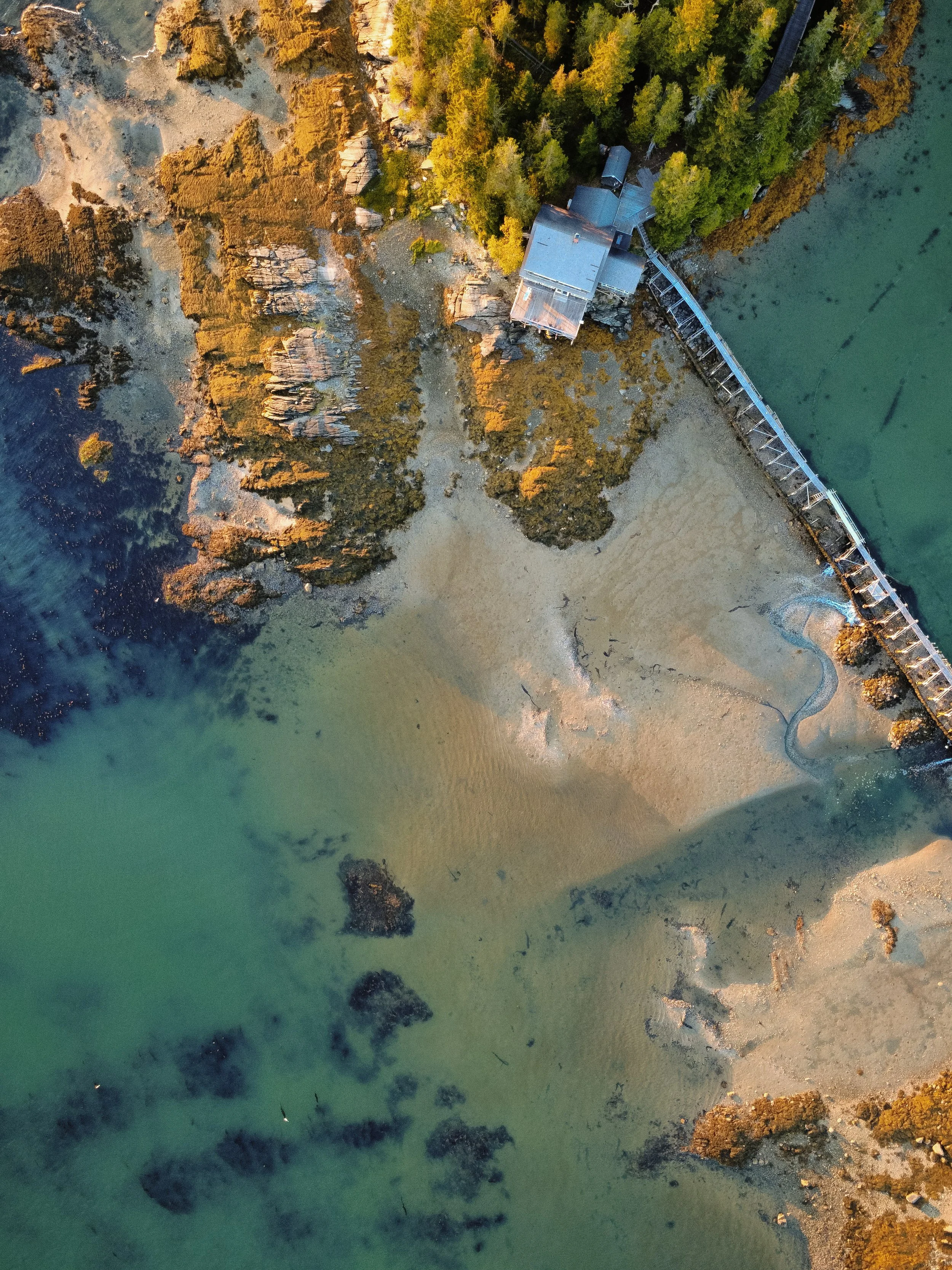 dji_fly_20260814_191848_179_1786749690366_photo_optimized.jpg