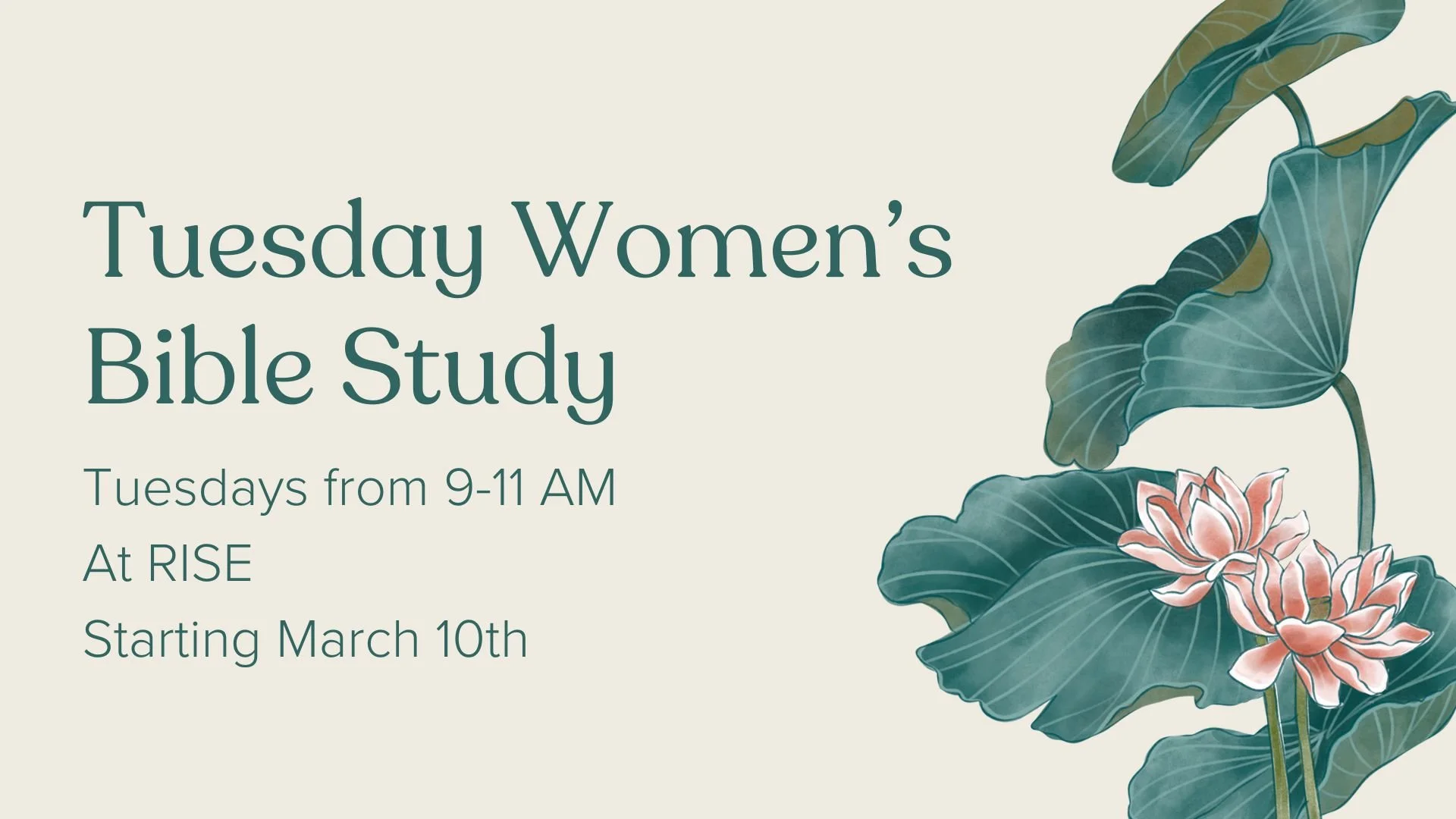 Tuesday Women's Bible Study Begins