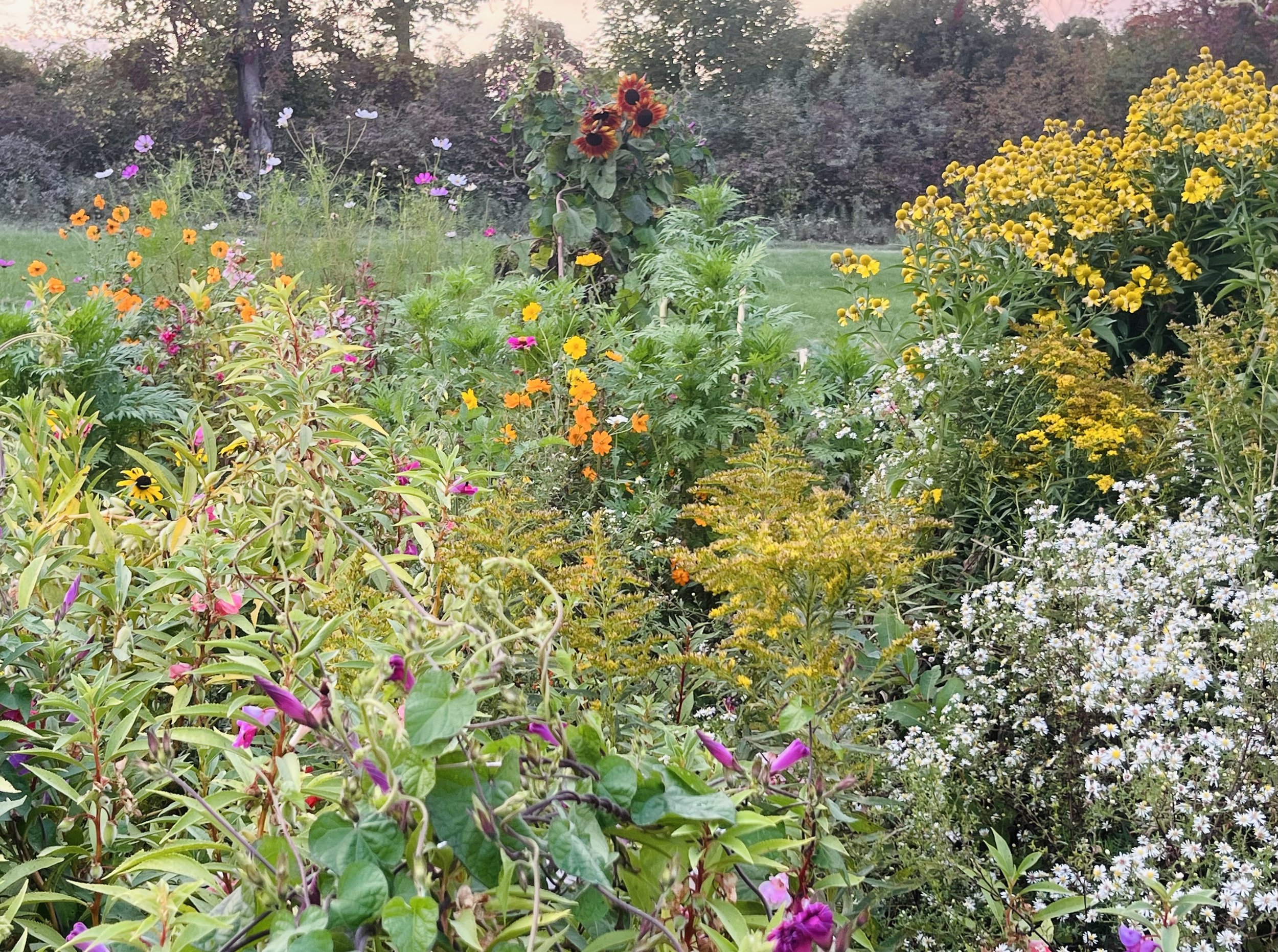Join Me for a Weed-a-Thon at BB Lane Gardens
