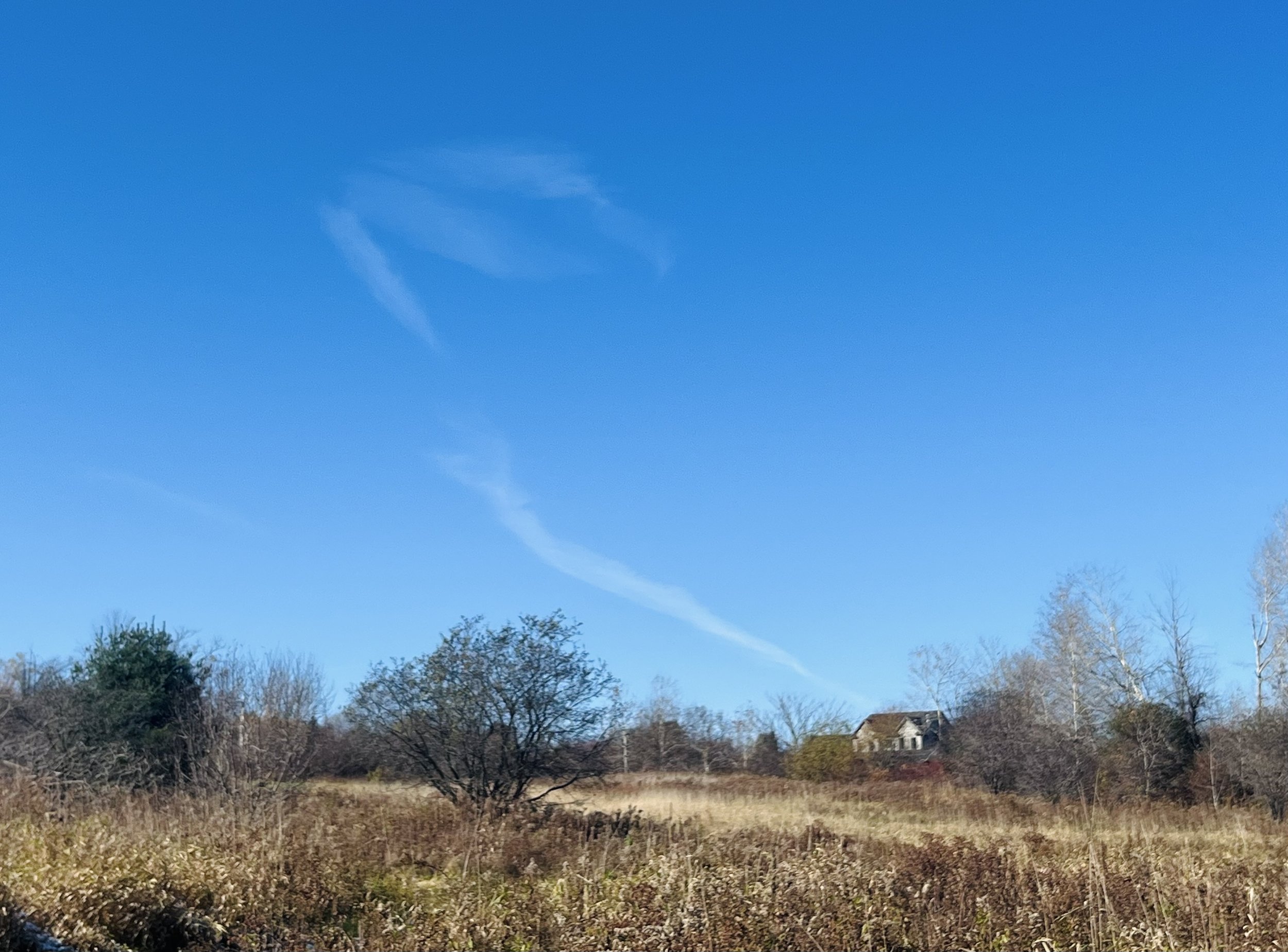 IMG_1360.jpeg