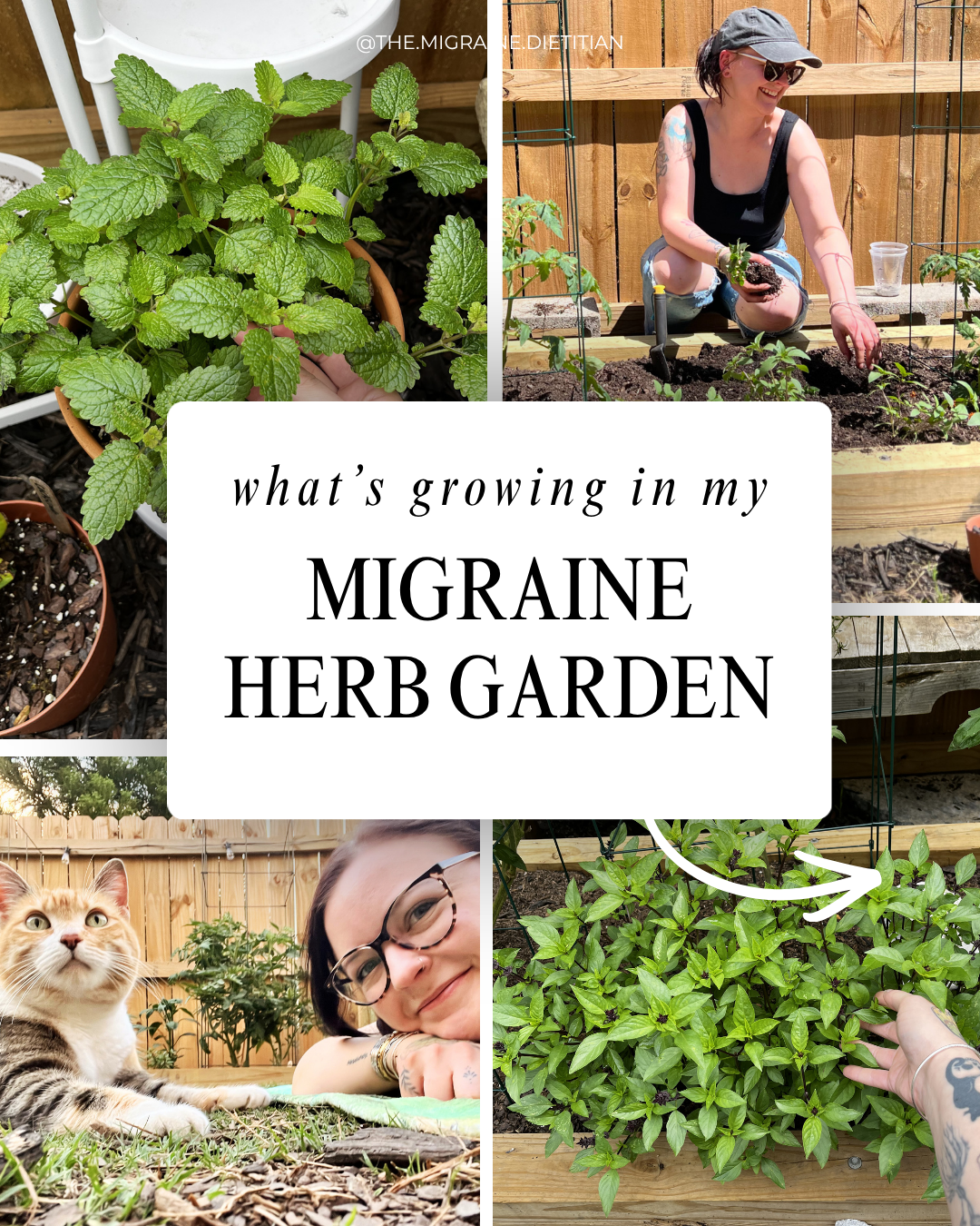 What I’m Growing in My Garden as a Migraine Dietitian