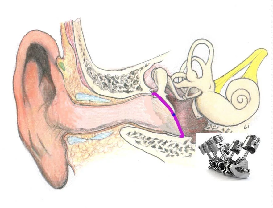 EarAware - The Not So Silent Epidemic