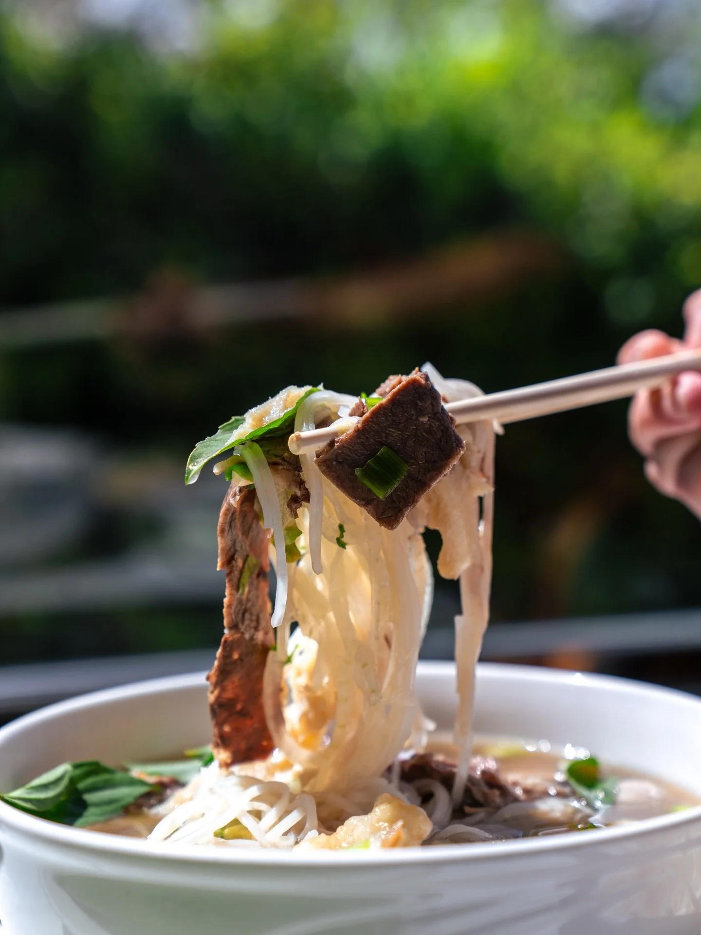 A little beef, a lot of noodle, and all the flavor 😮&zwj;💨 Grab a bowl and get in on this bite 😋

#ocfood #ocfoodie #orangecounty #pho #vietnamesefood