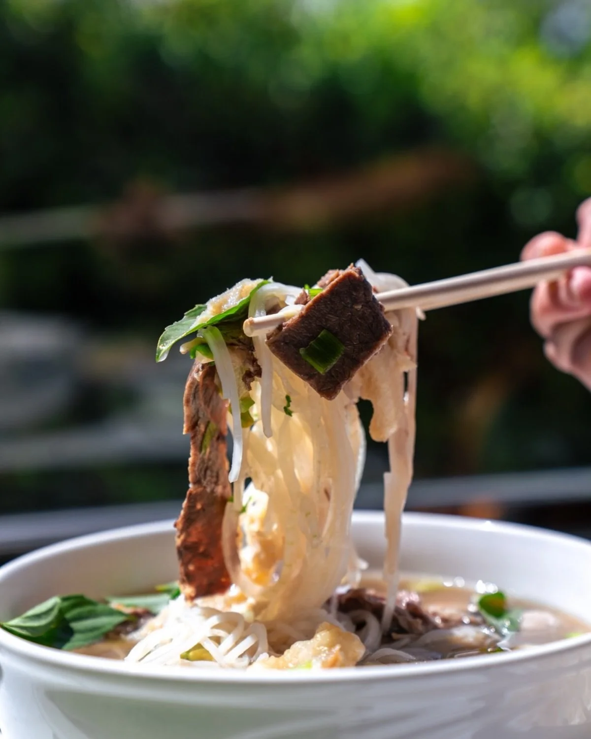 The colder it gets, the better this hits. Pho season is in full swing 🍜 Warm up with a bowl and don&rsquo;t forget the beef rib add-on!

#ocfood #ocfoodie #orangecounty #pho #vietnamesefood