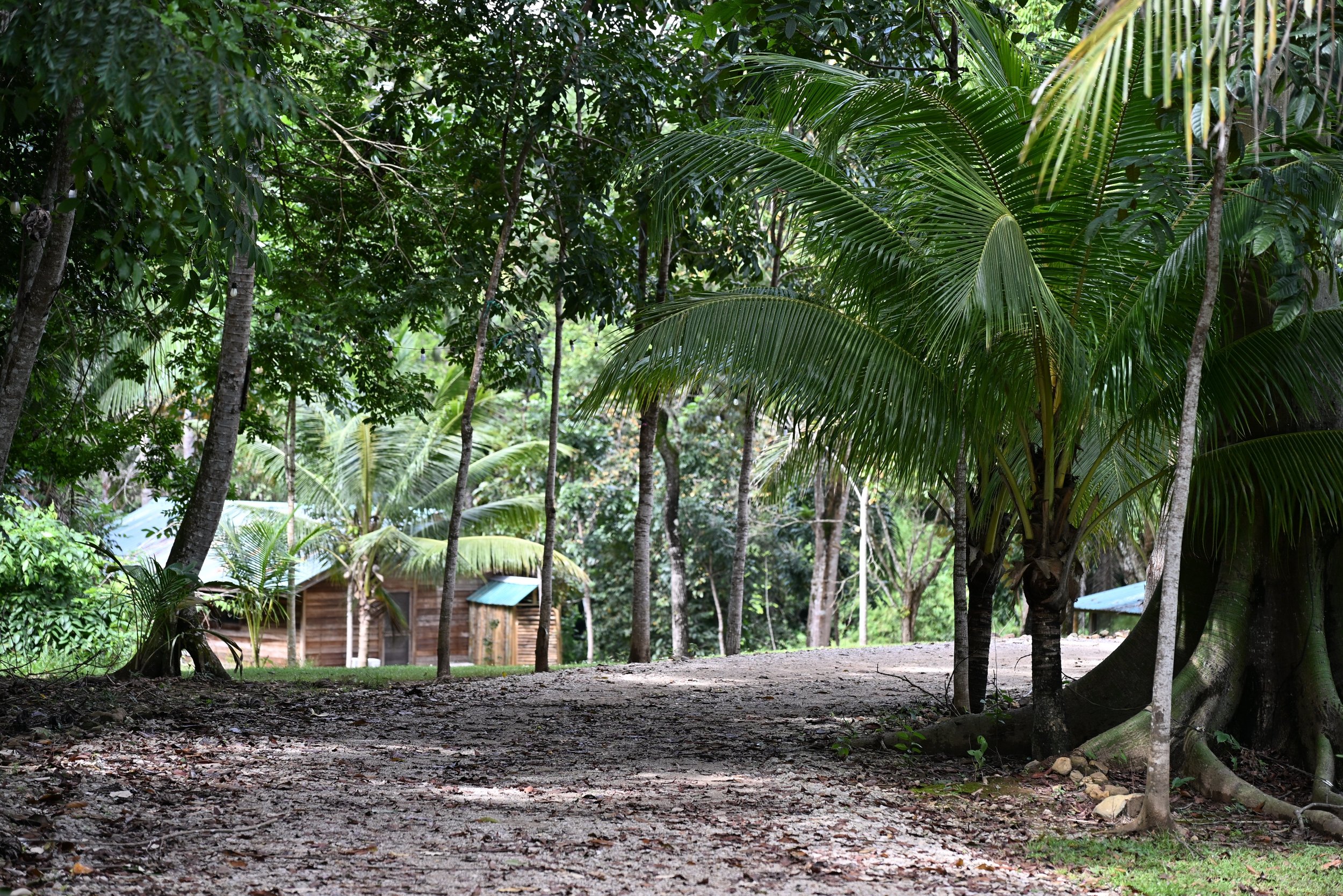 Leadership Year (College Grad)