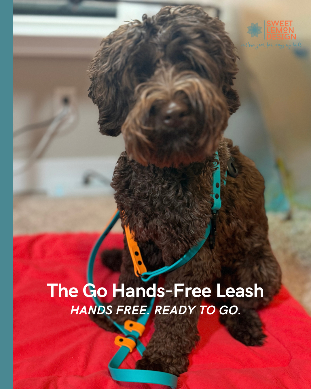 Fig The Go Hands-Free Leash.png