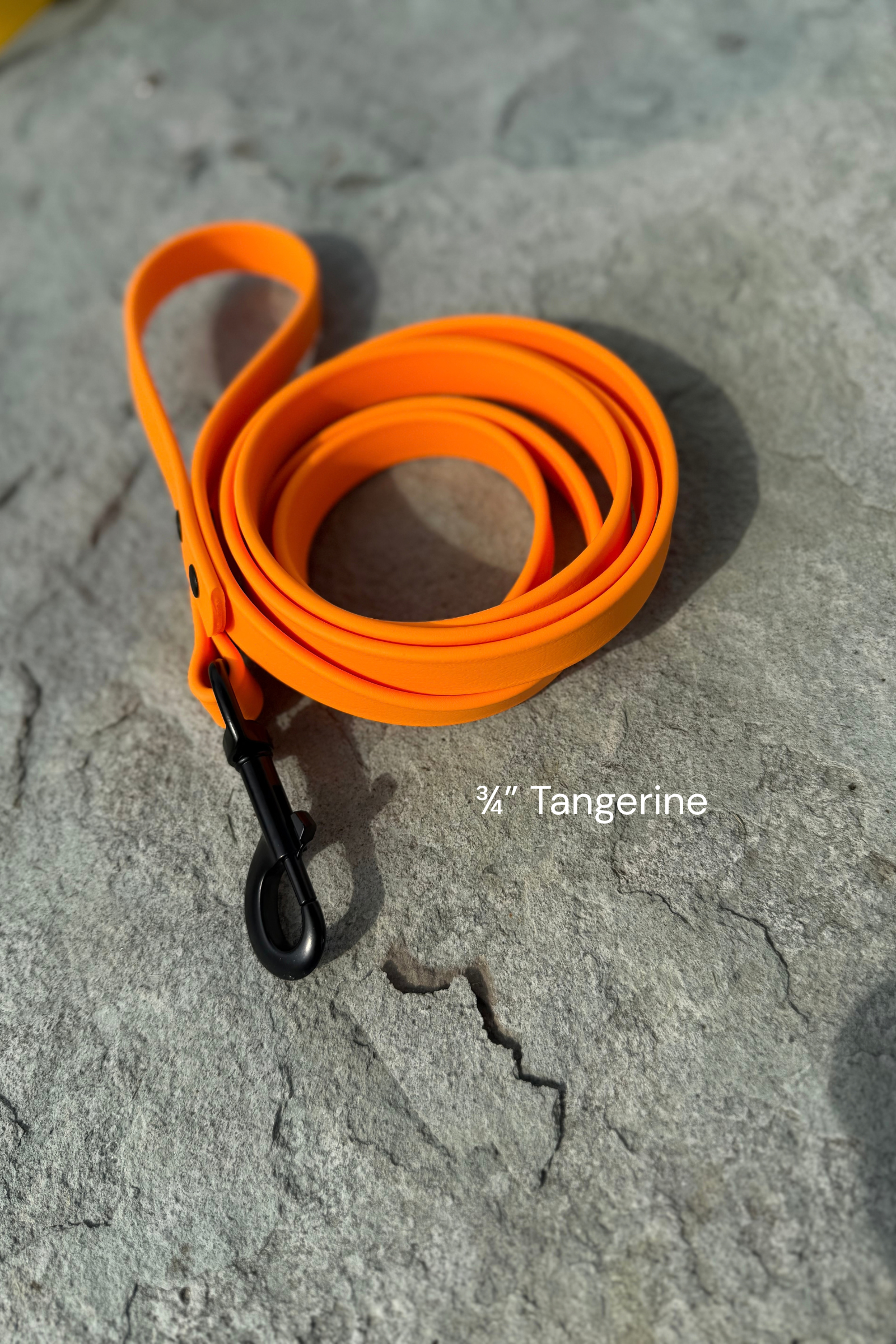 Tangerine 3:4 Leash BlackHardware.png