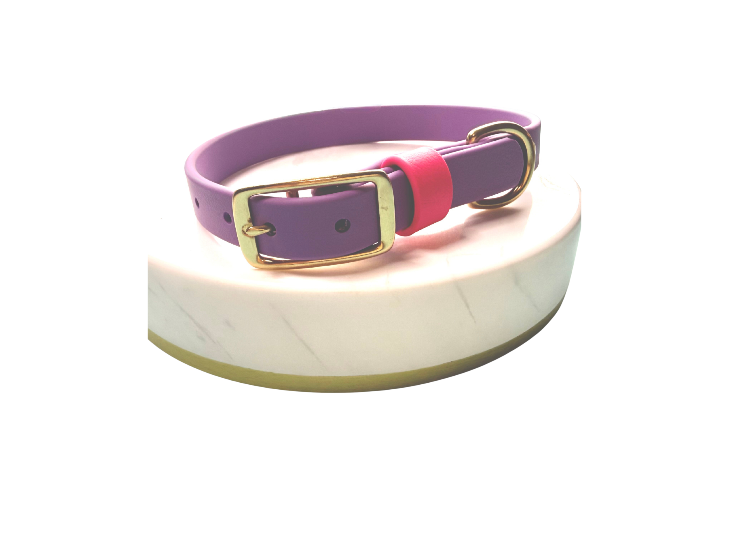 Lavendar and Hot Pink BioThane Signature dog collar with solid brass hardware