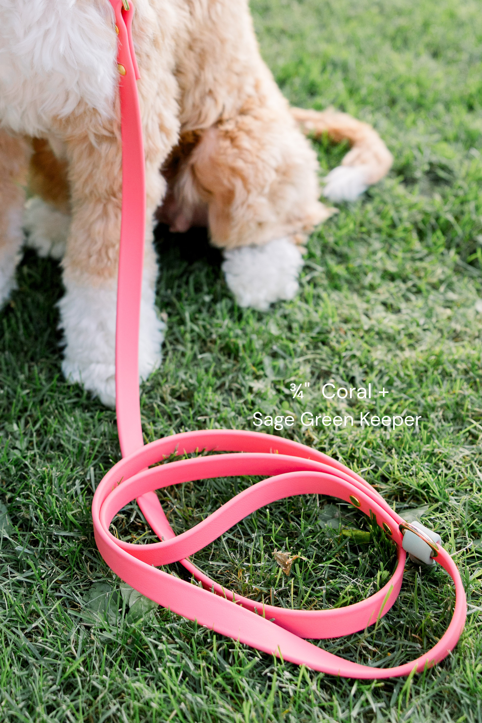 biothane-dog-leash-coral-mintkeeper-brass-sweet-lemon-design2.png