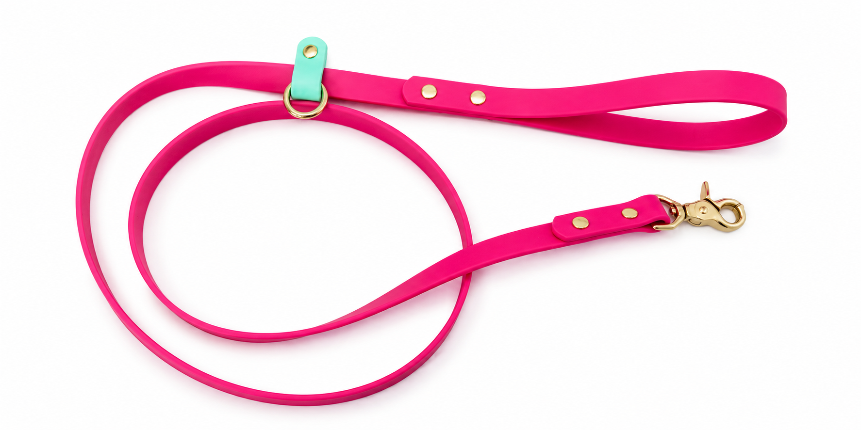 Handcrafted waterproof BioThane dog leash