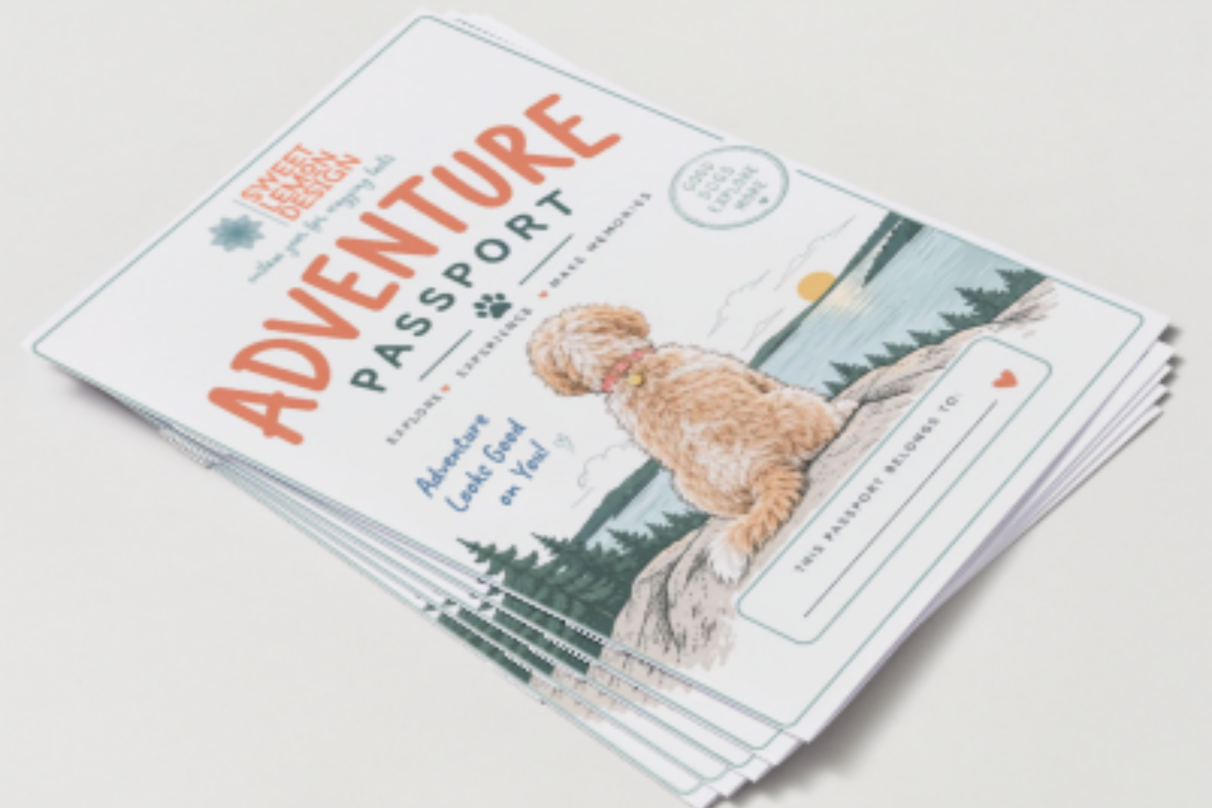 Adventure passport booklet photo.png