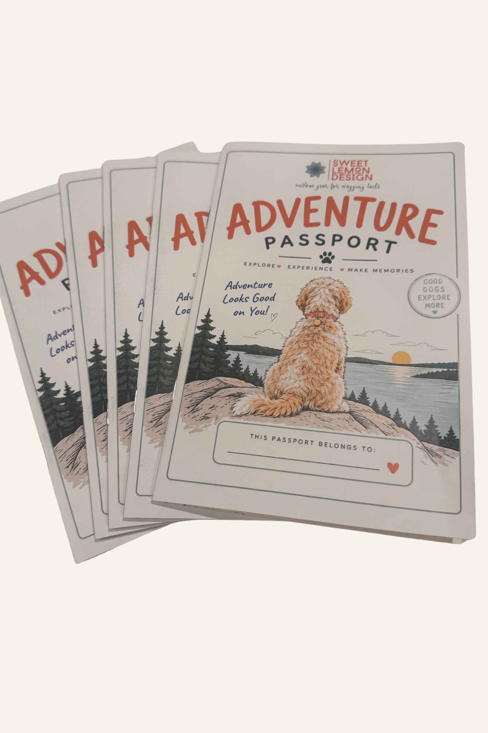 Adventure Passport Multiple.png