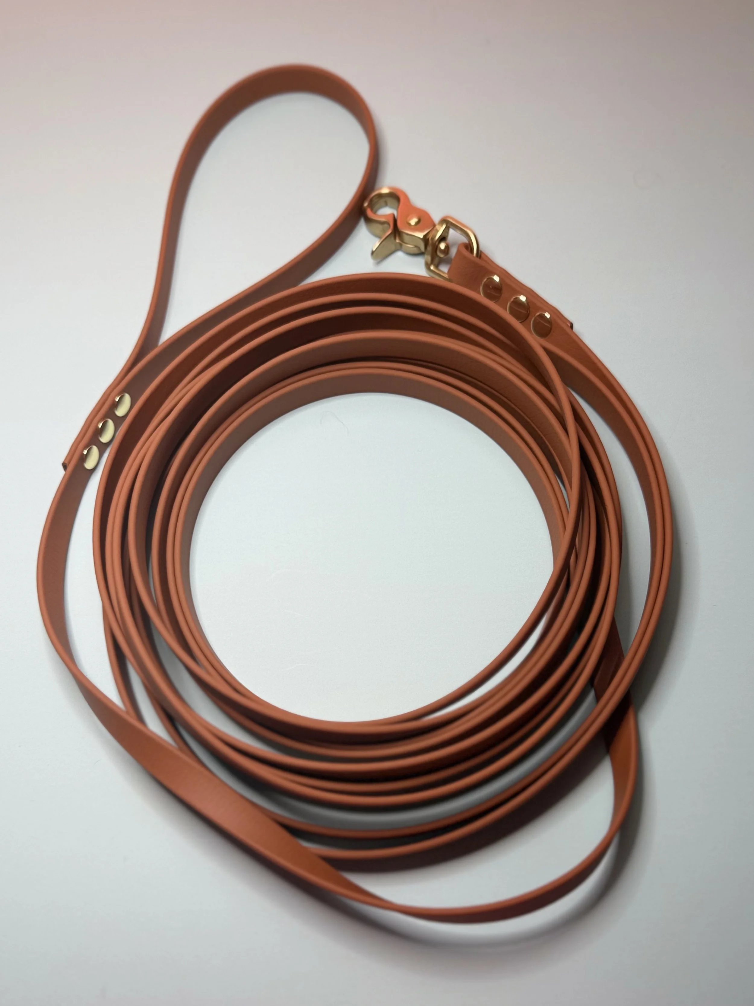 A coiled brown leather dog leash with gold hardware, including a clasp and rivets, on a white surface.