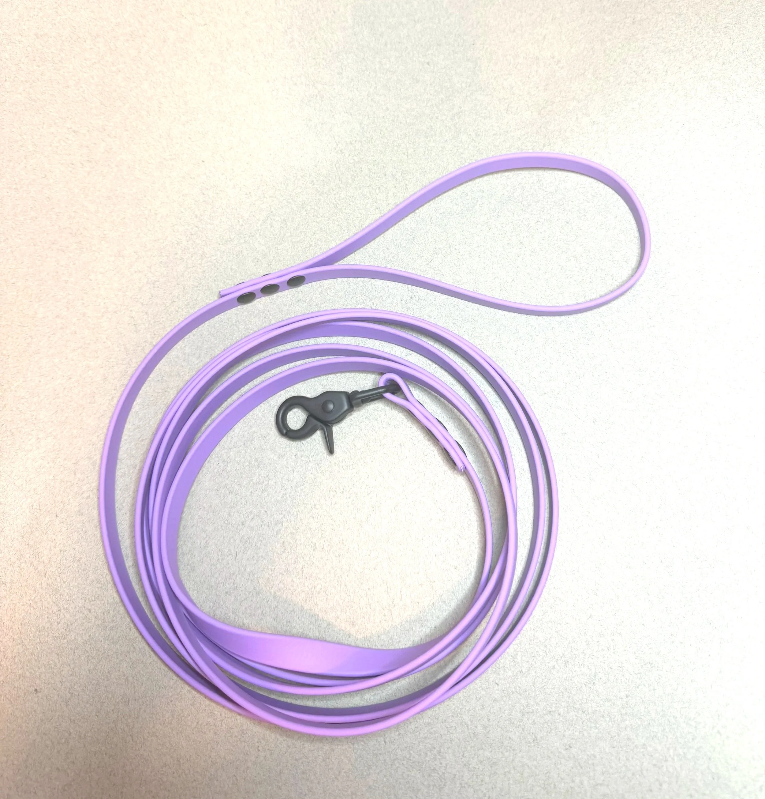 The Roam Long Line Leash
