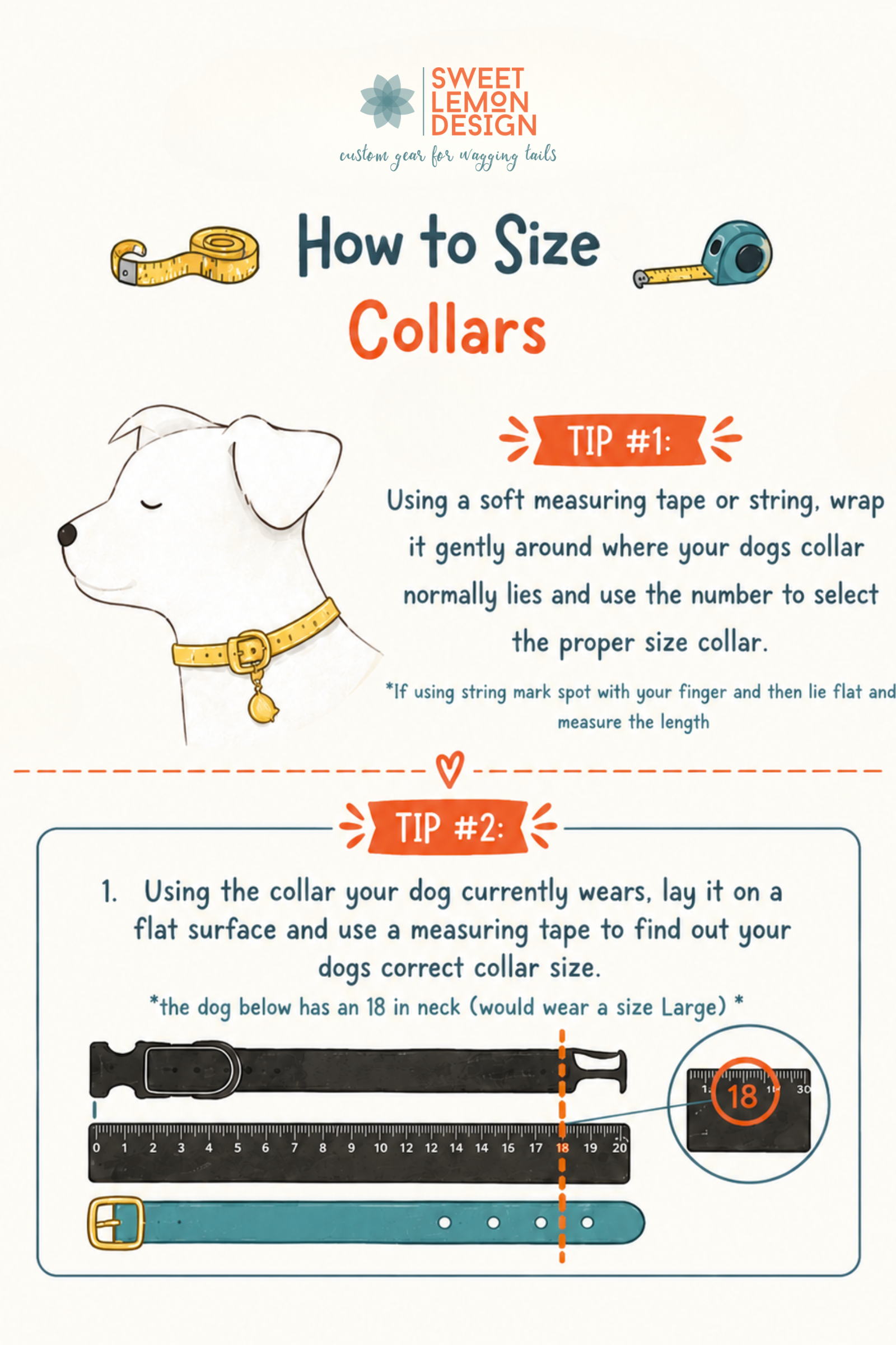How to Size Collars.png