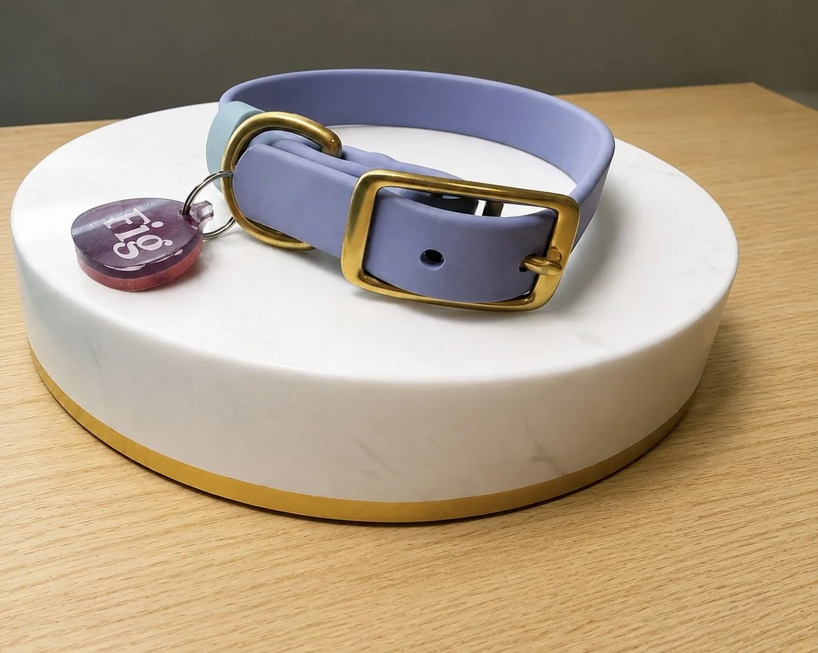 periwinkle dusty turquoise BioThane dog collar with brass hardware