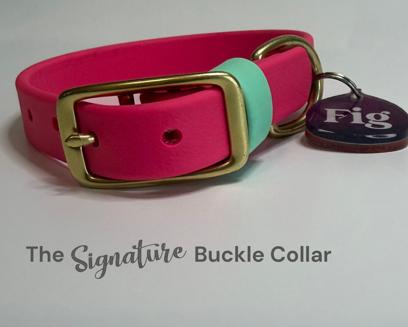 Hot pink and mint green loop BioThane dog collar with solid brass hardware