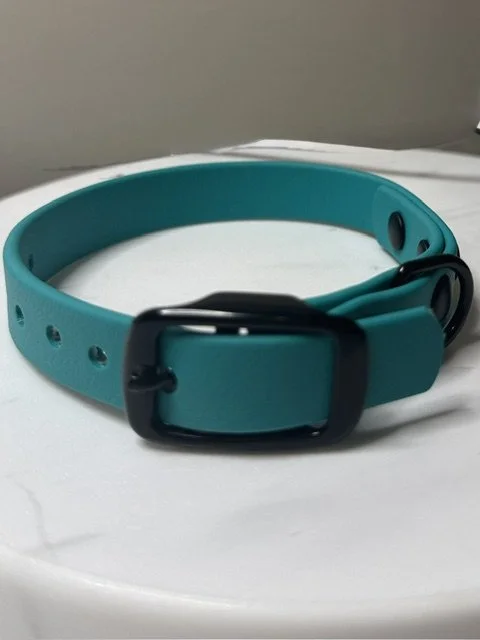 Teal Little Buckle Collar .jpeg