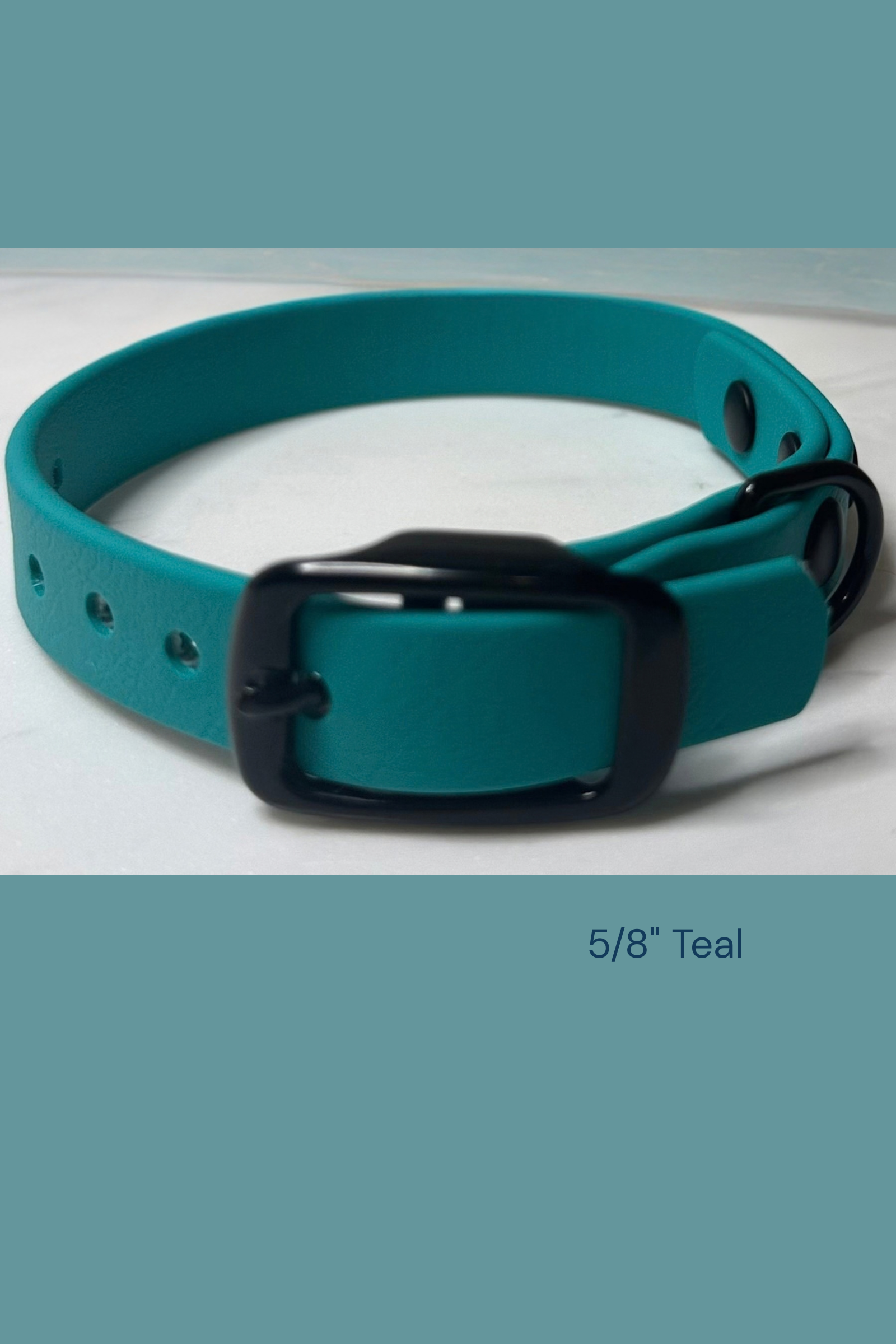 Little Buckle Collar Teal Black Hardware Front View.png