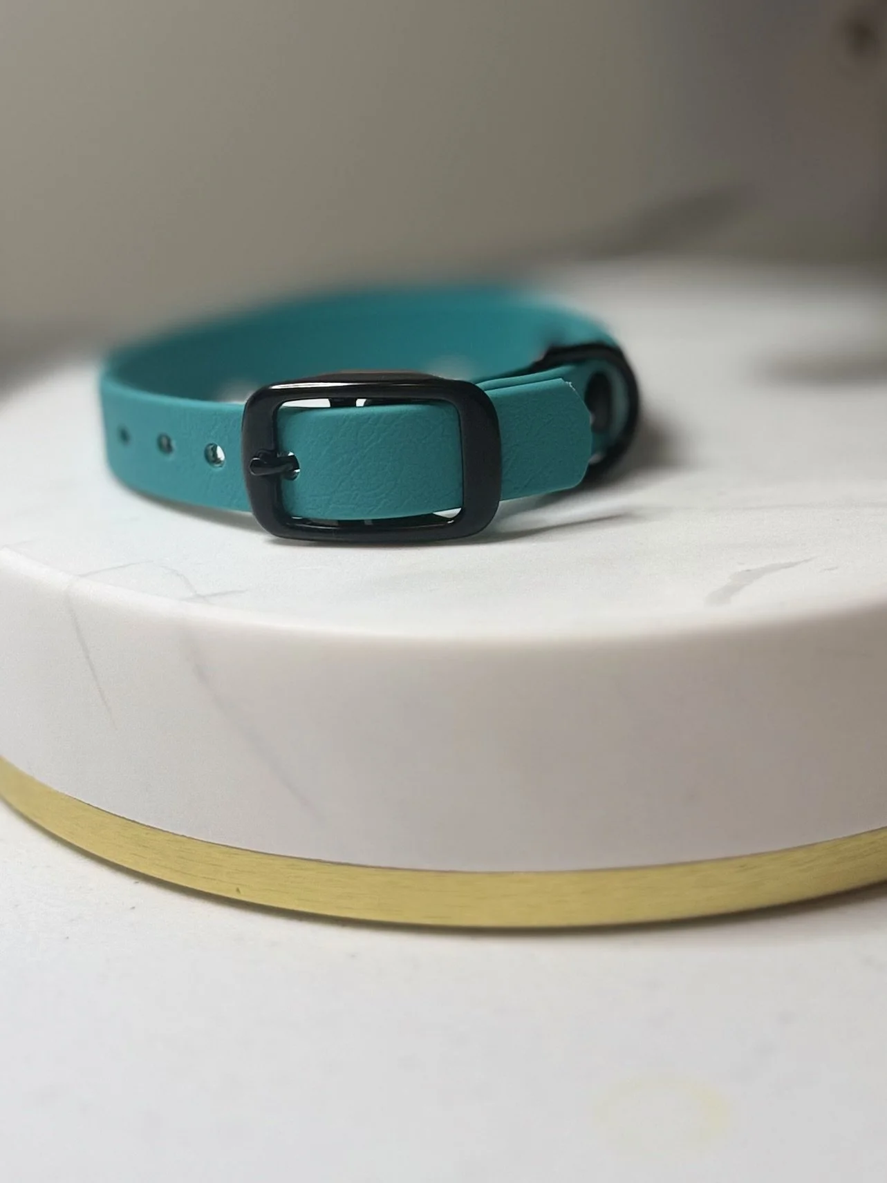 Teal Little Buckle Collar Matte Black Hardware.jpeg