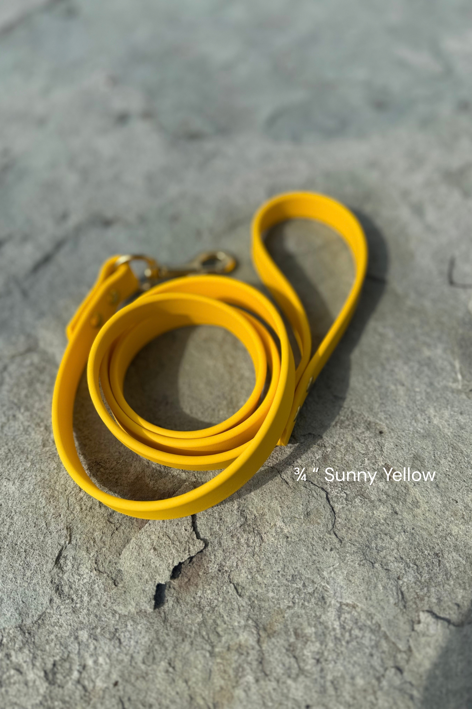 SunnyYellowLeash.png