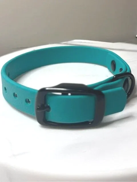 The Little Buckle Collar