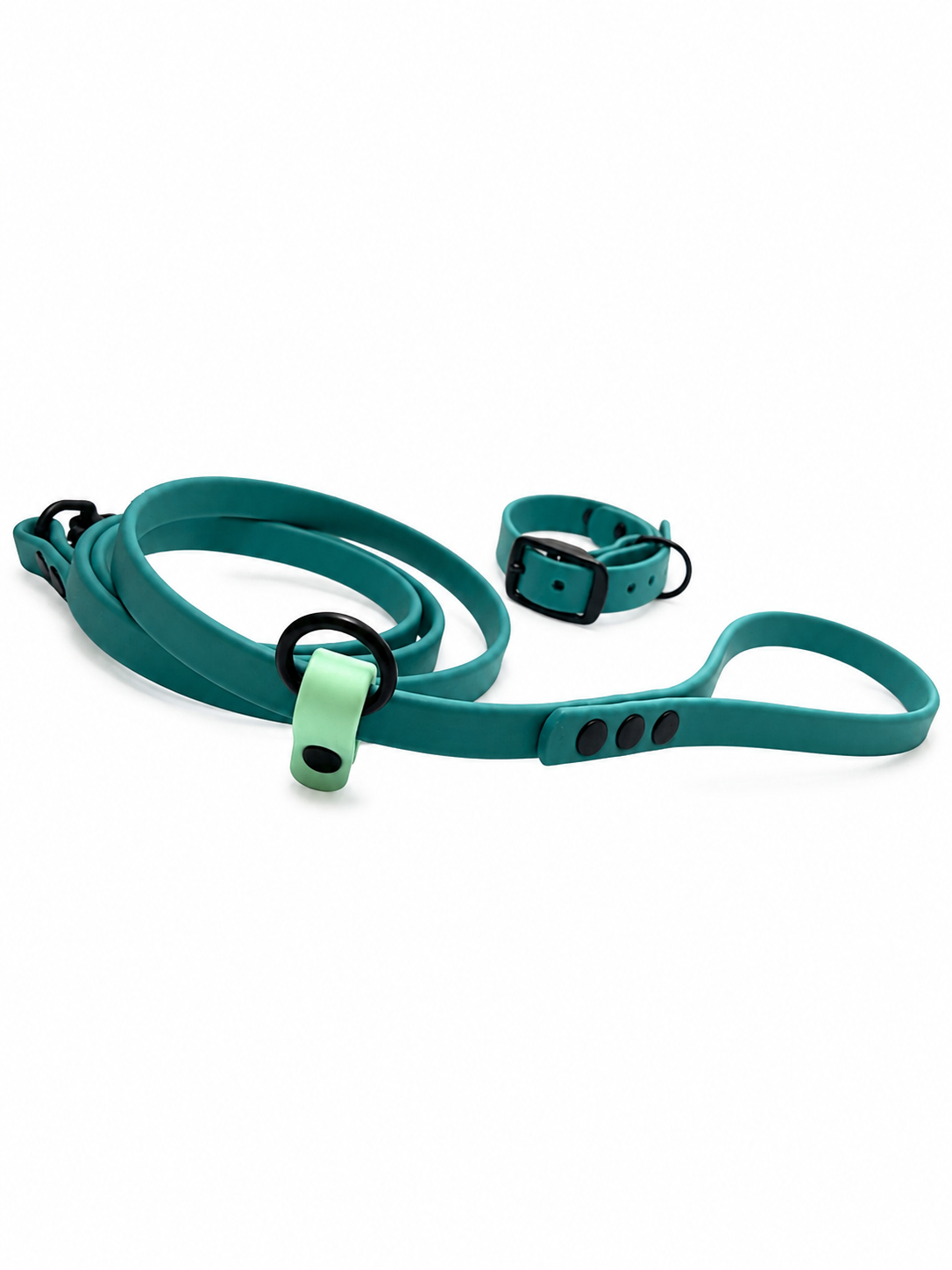 Signature Leash and Little Buckle Collar in Teal Black Matte Hardware