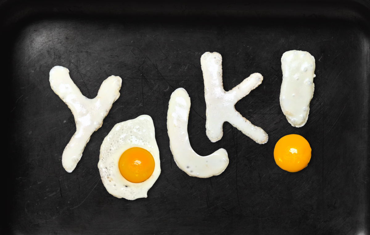 Design portfolio cover for Yolk!.
