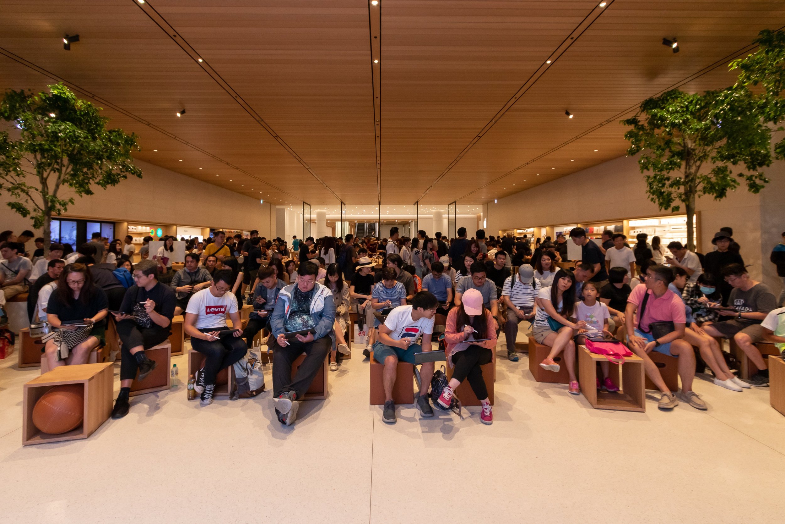 ft_fish trap workshop_2019_apple_ (18).jpg
