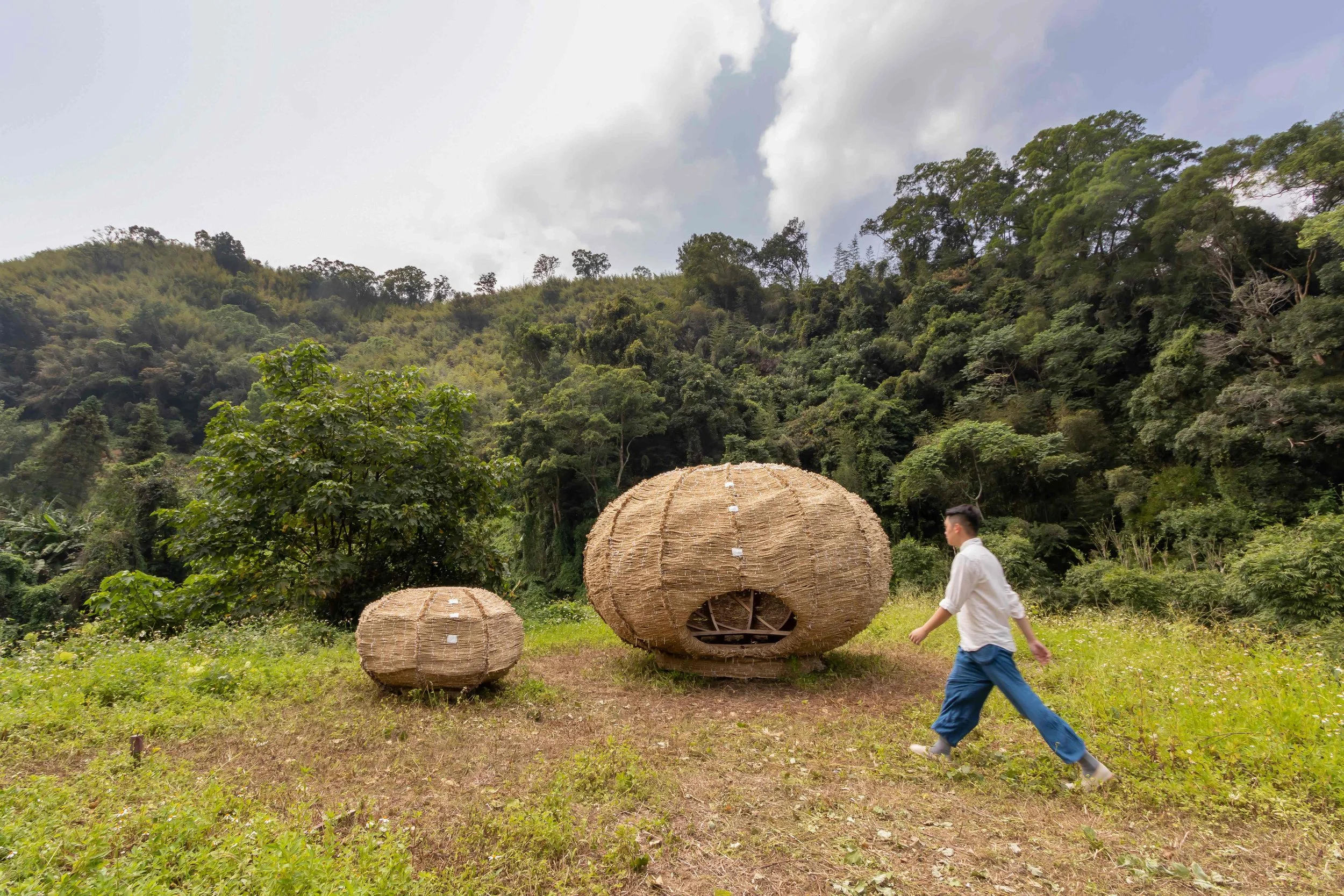 Tea Nest — Cheng Tsung FENG