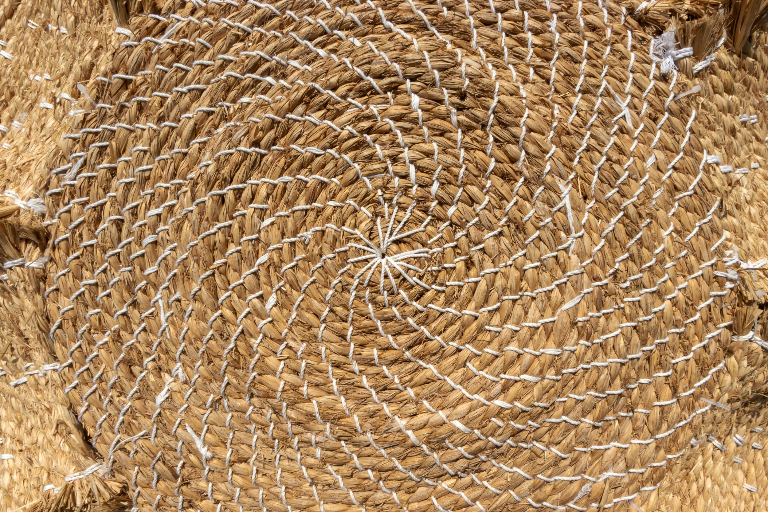 Tea Nest — Cheng Tsung FENG