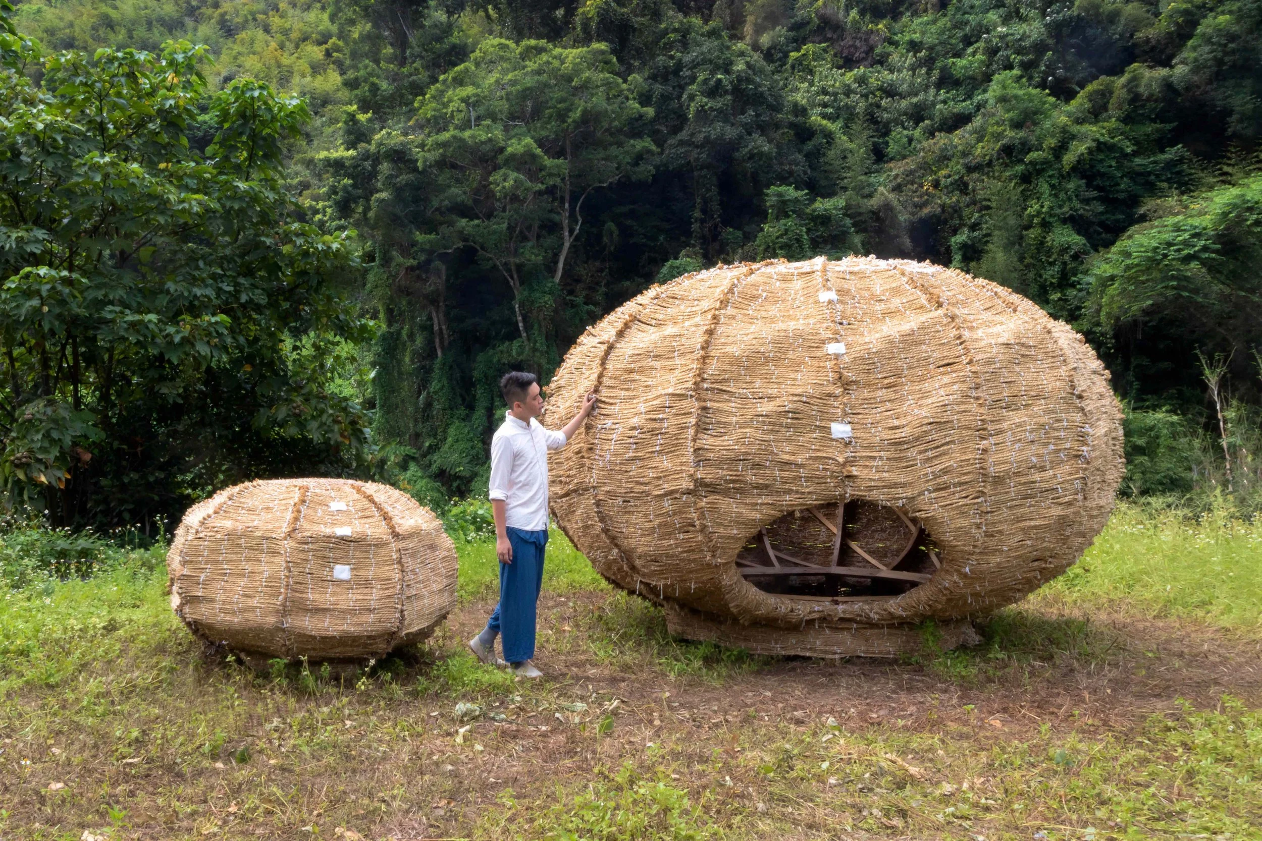Tea Nest — Cheng Tsung FENG