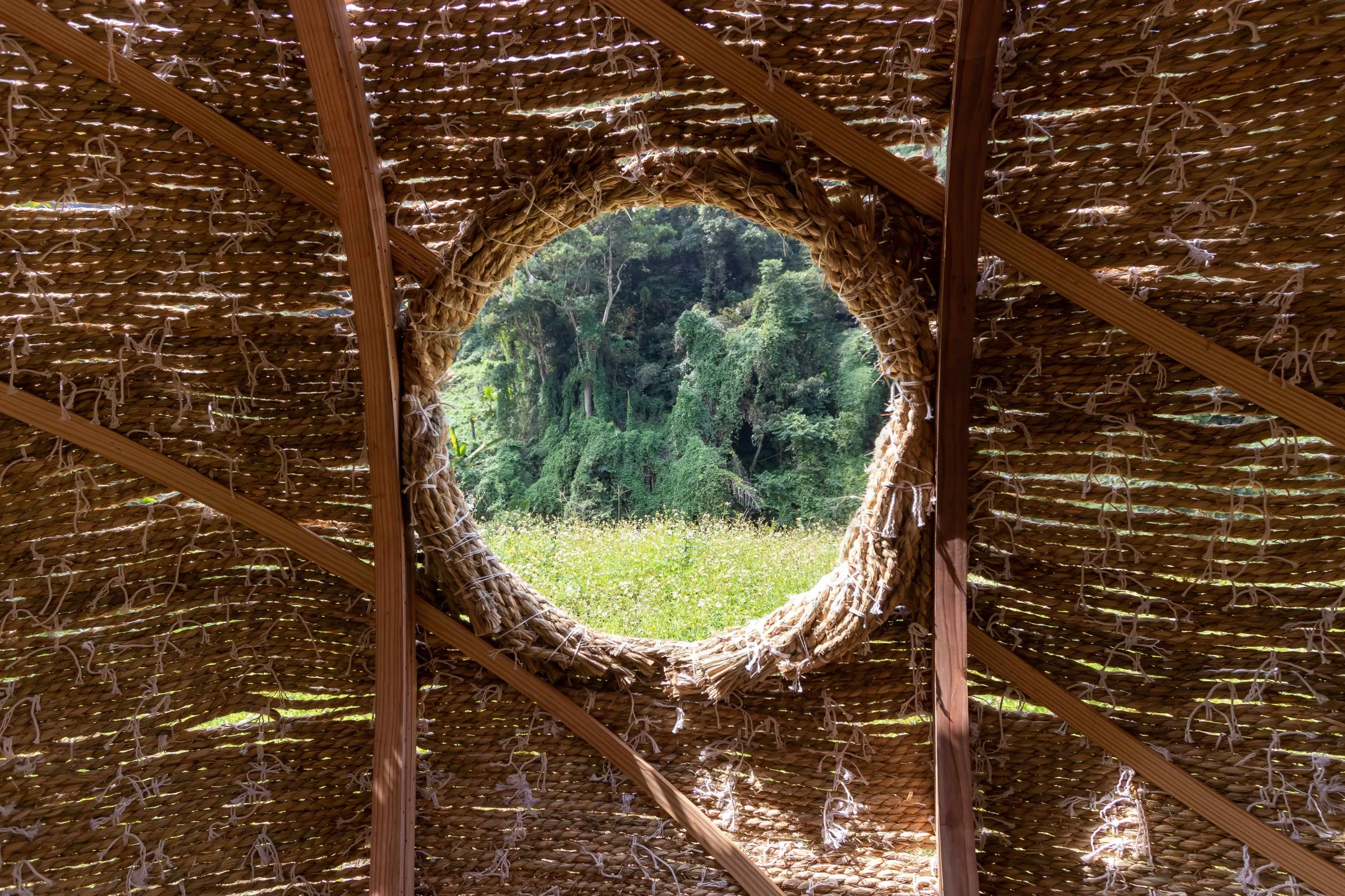 Tea Nest — Cheng Tsung FENG