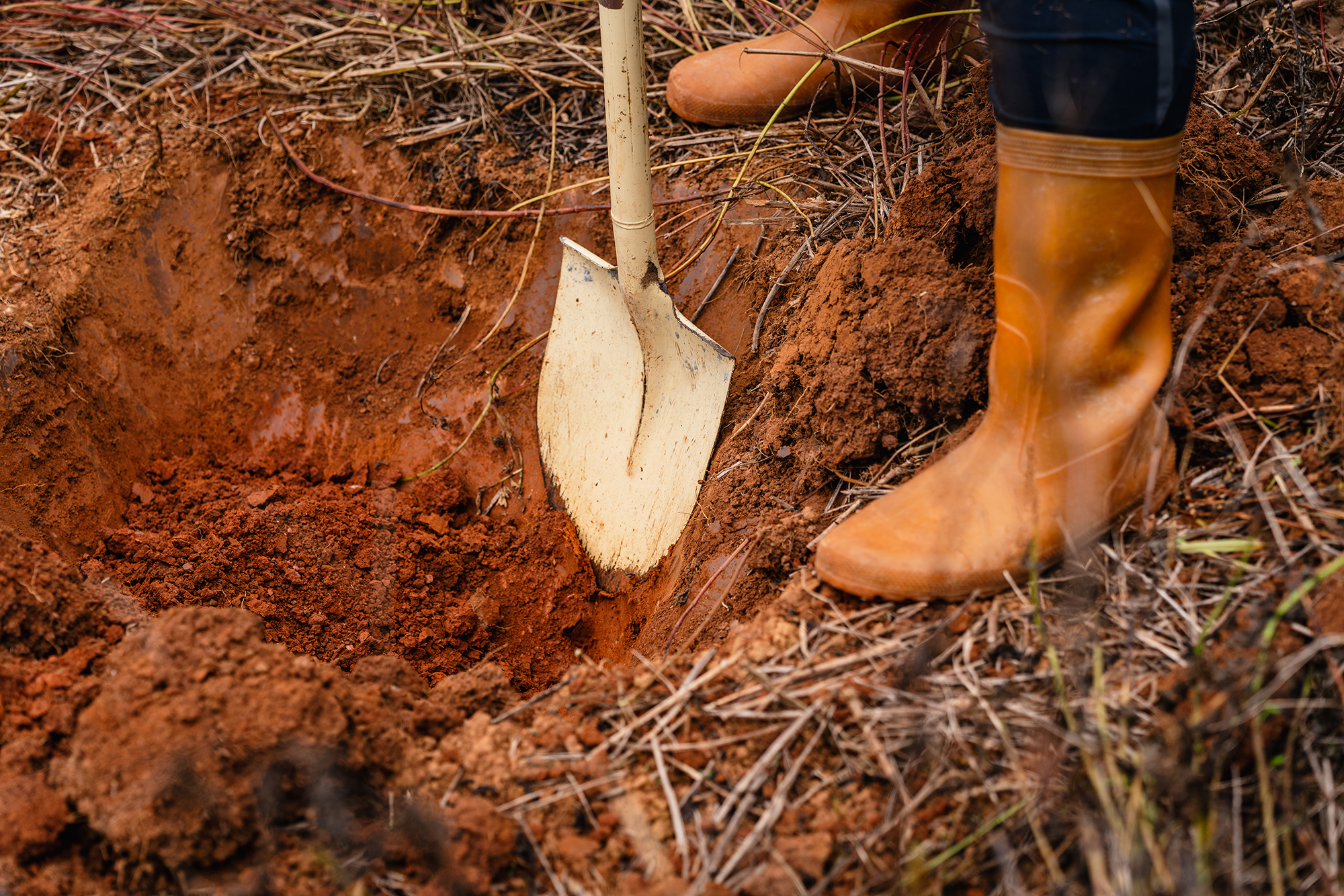ex_hualien soil color_2022_discover_sinkam_4ddd.png