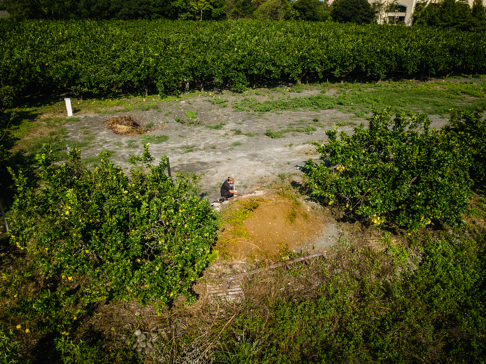 ex_hualien soil color_2022_discover_ (2)ddd.png