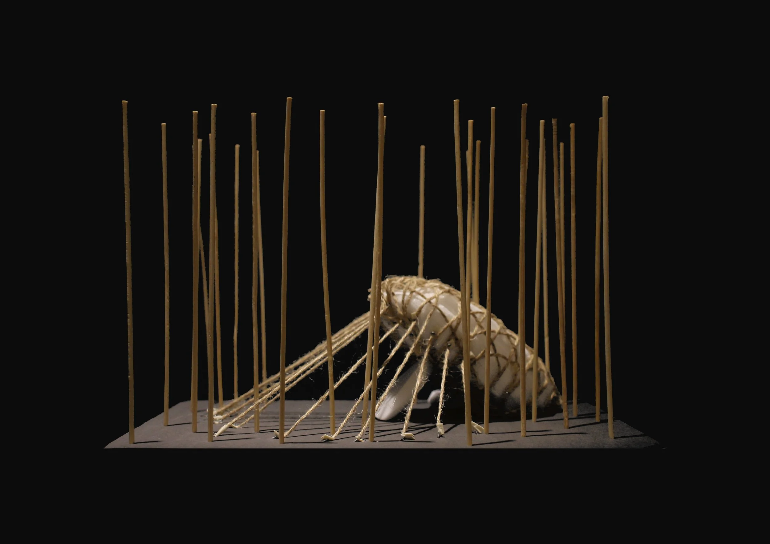ex_[bunun]_2016_prototype_weave_2.jpg