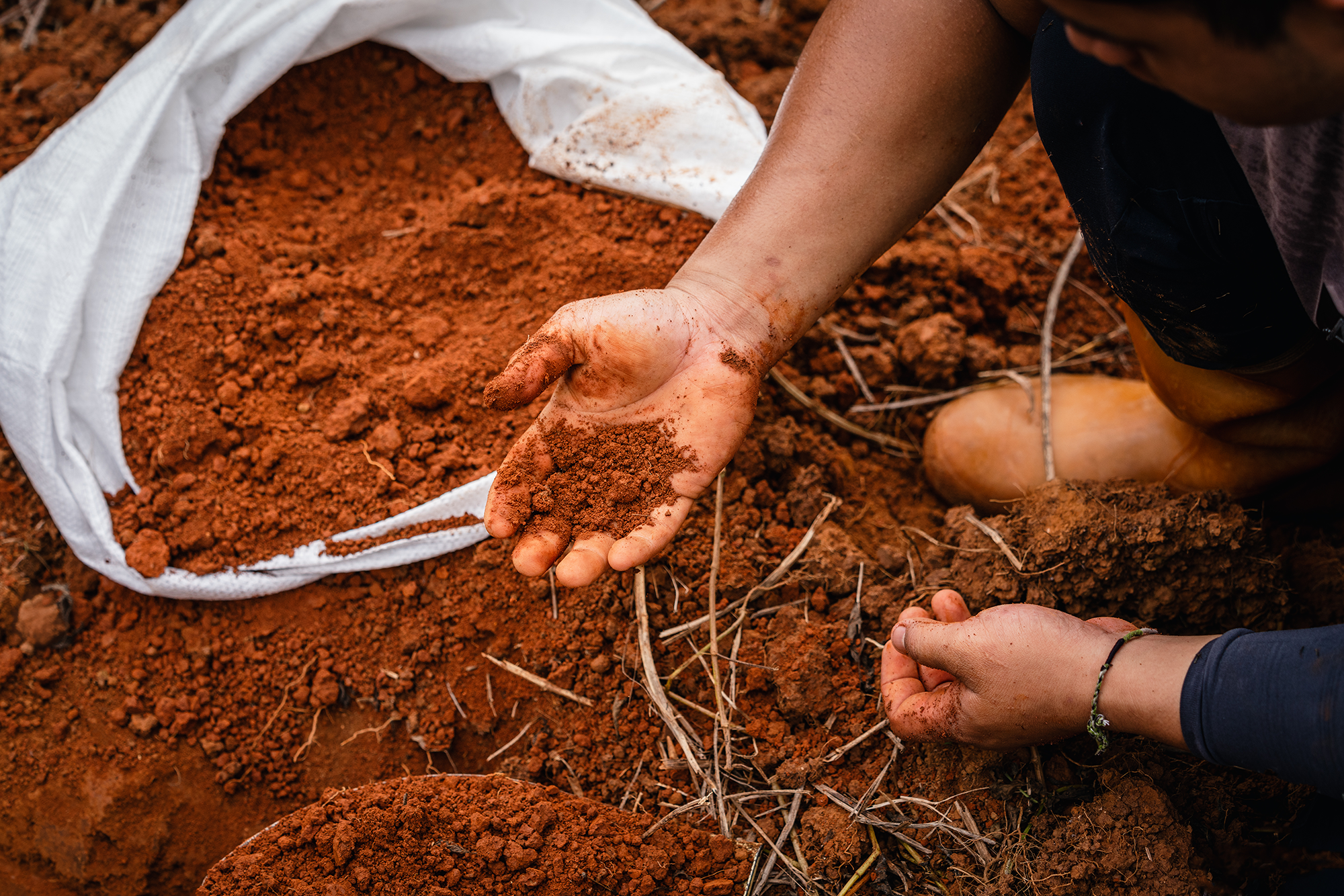 ex_hualien soil color_2022_discover_sinkam_5ddd.png