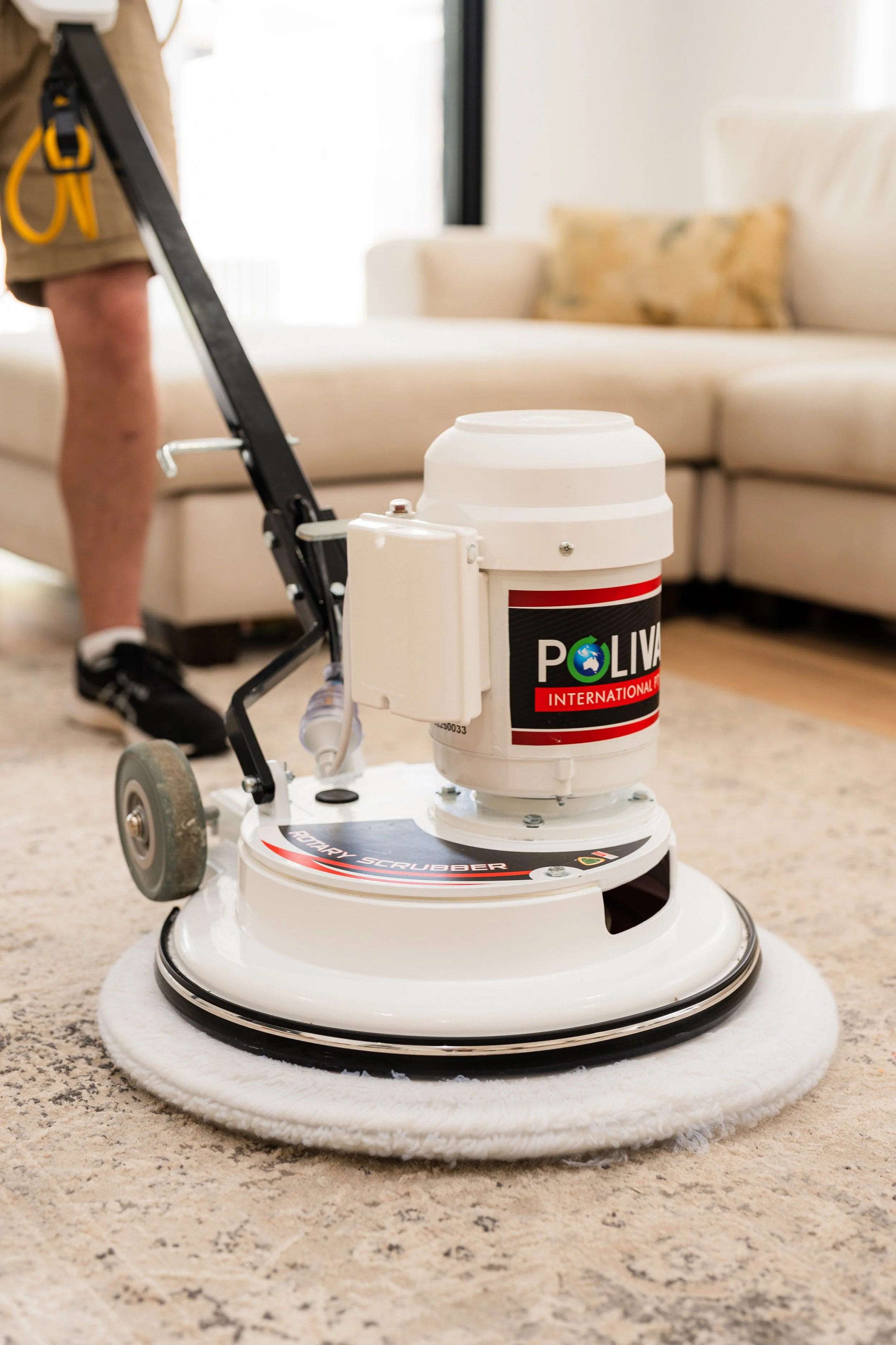 A floor scrubber being used on a beige carpet in a living room with a sofa in the background.
