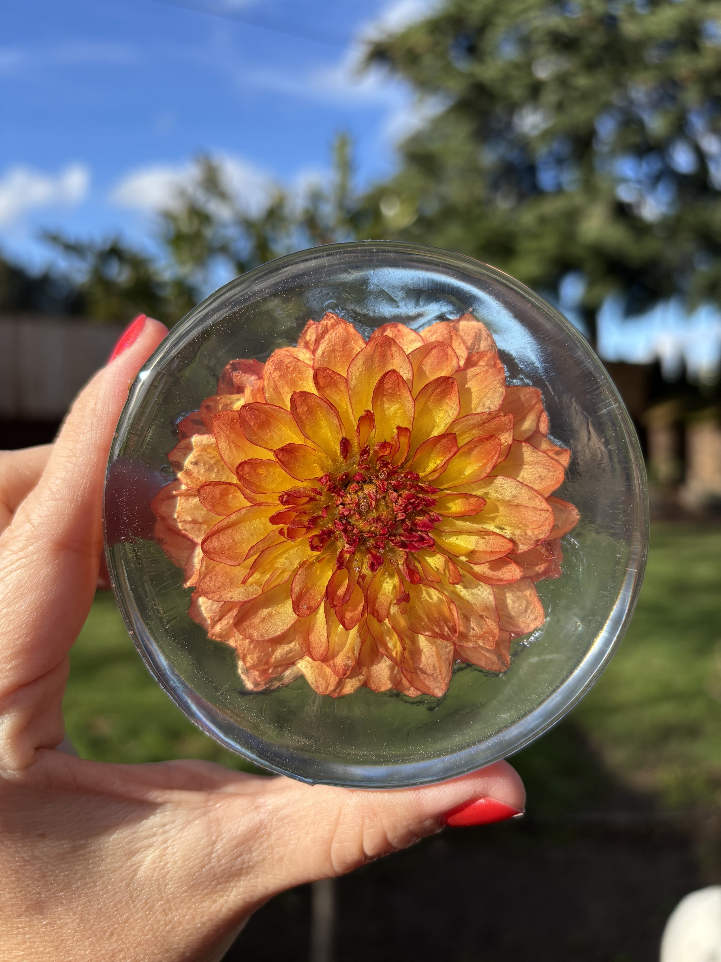 Coasters/Ornaments Set of 4