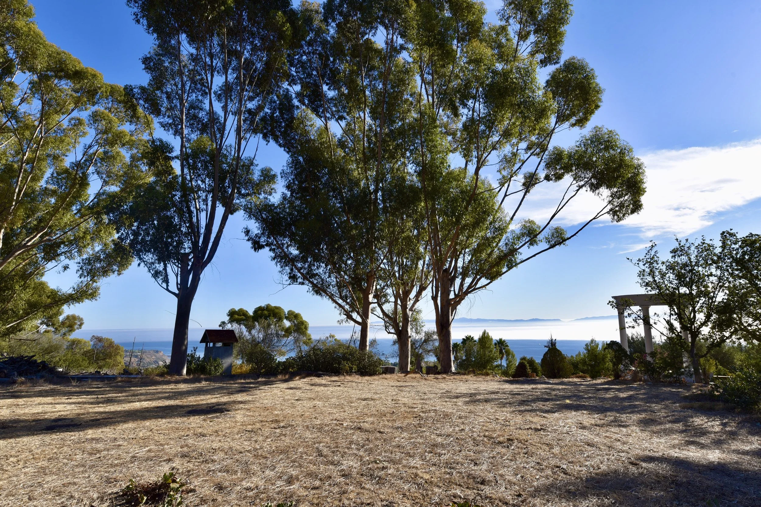 corona fields wide.JPG