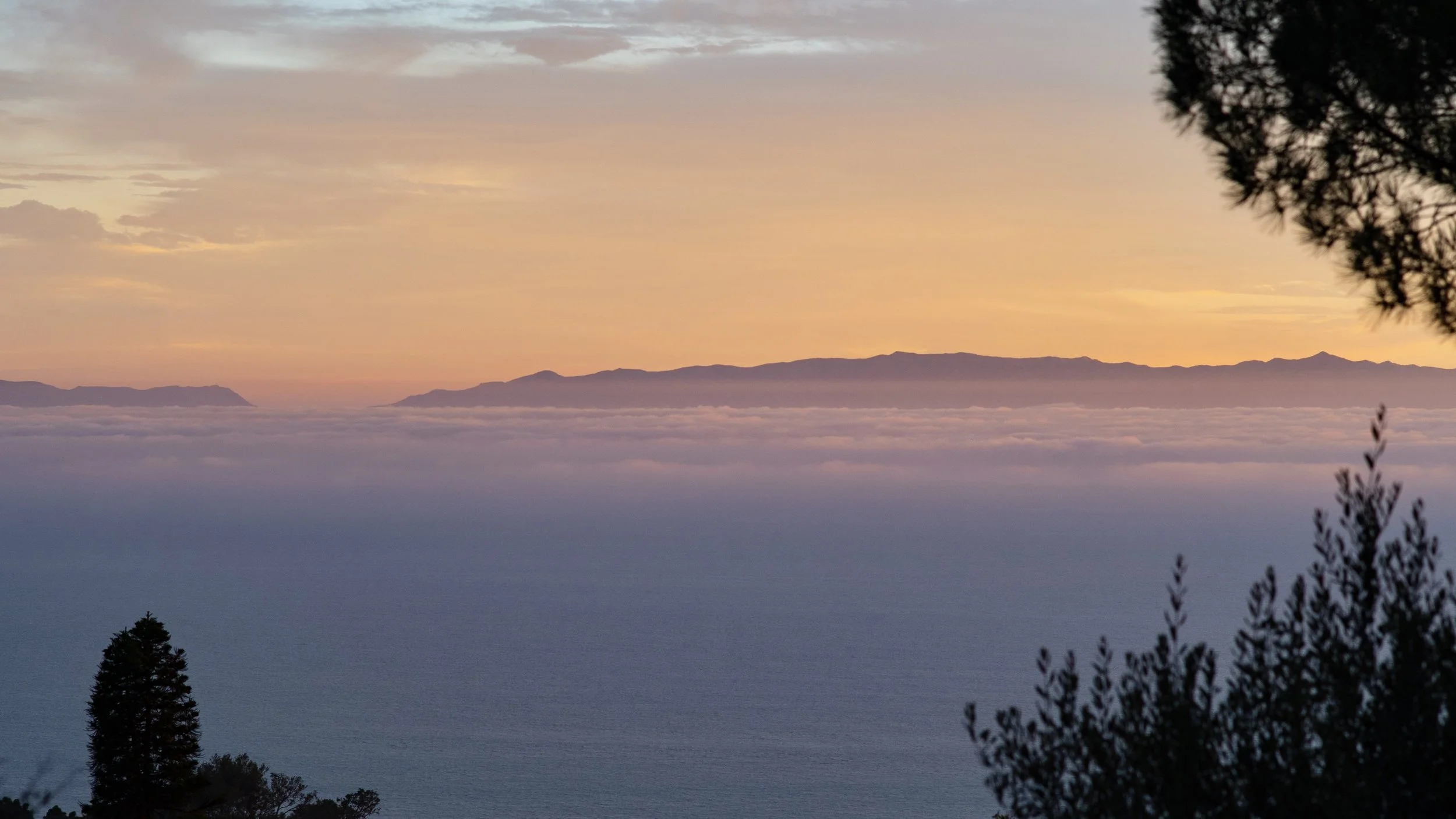 Catalina_Above_the_Clouds.jpg