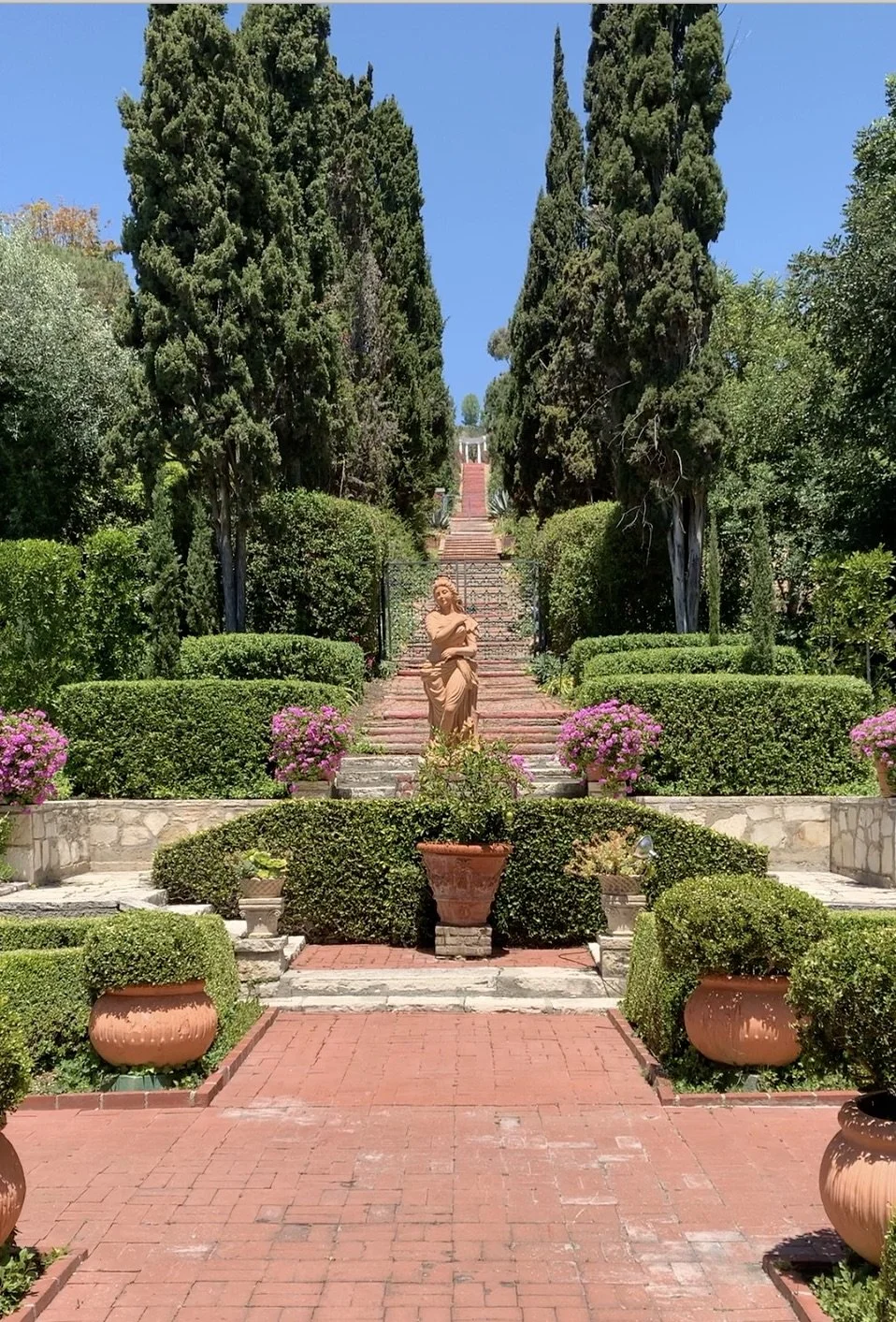 Garden with corona1.jpeg